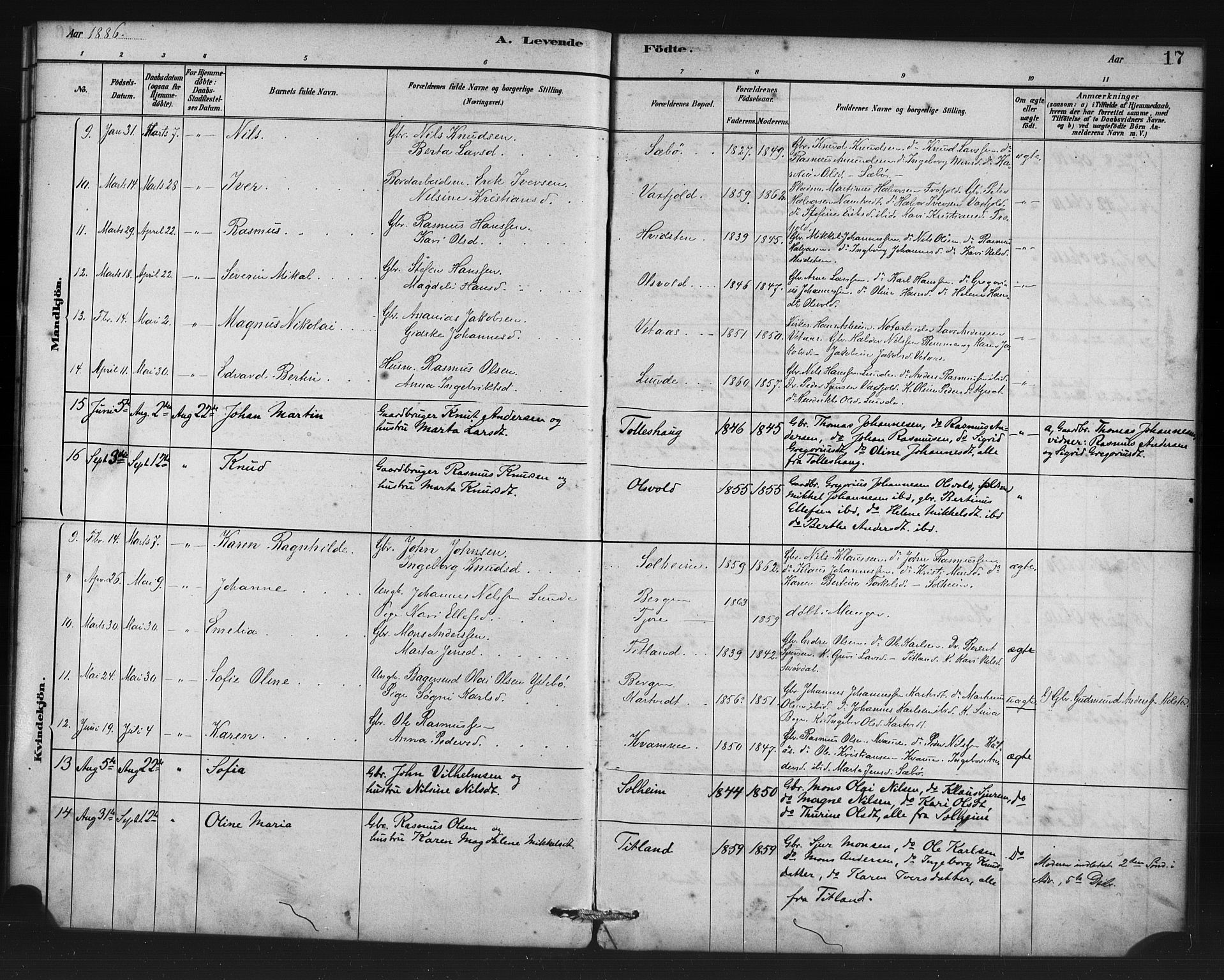 Manger sokneprestembete, AV/SAB-A-76801/H/Haa: Ministerialbok nr. D 1, 1881-1892, s. 17