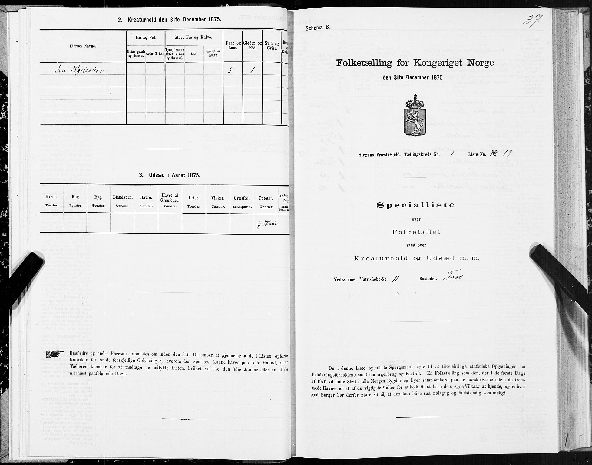 SAT, Folketelling 1875 for 1848P Steigen prestegjeld, 1875, s. 1037