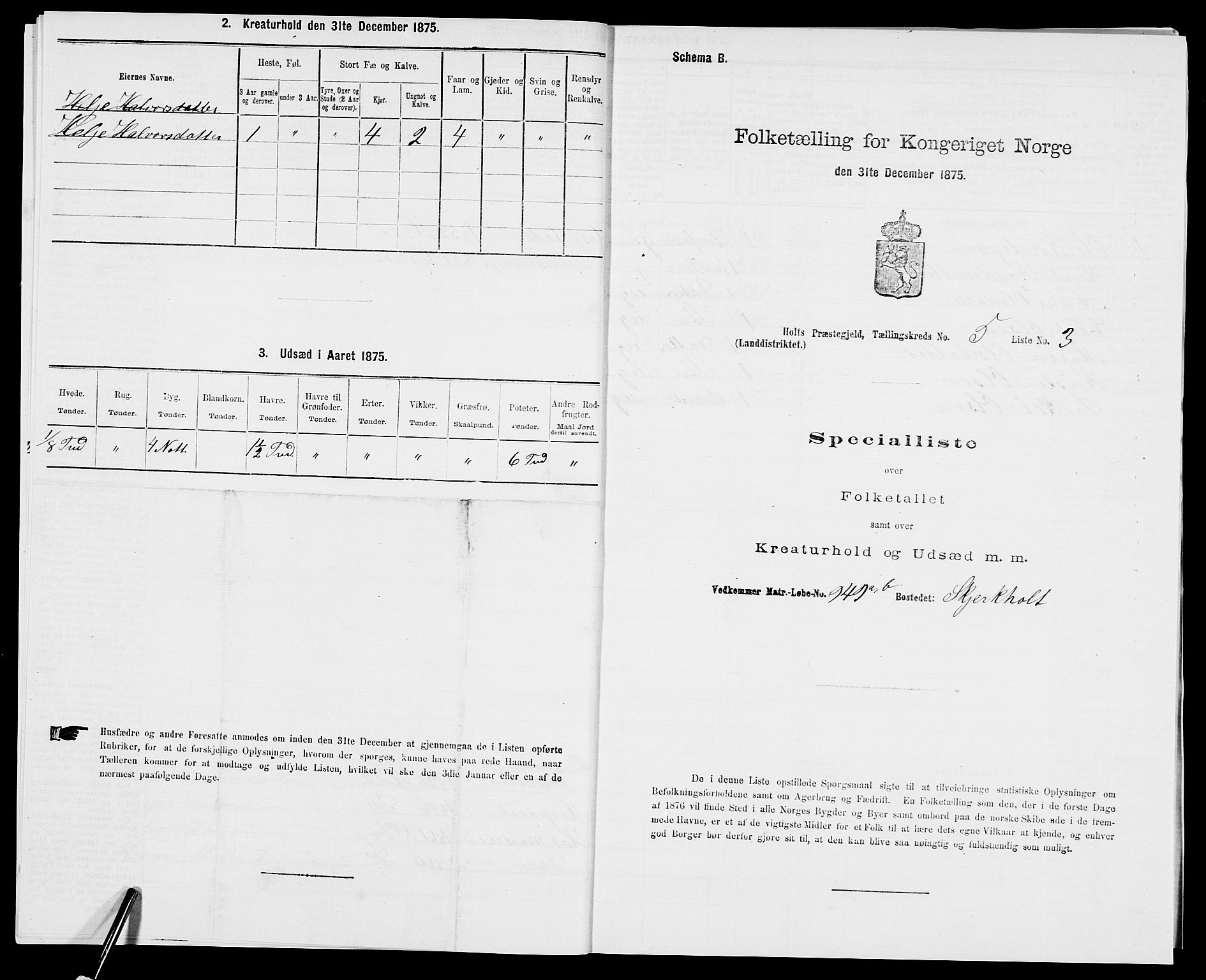 SAK, Folketelling 1875 for 0914L Holt prestegjeld, Holt sokn, 1875, s. 535