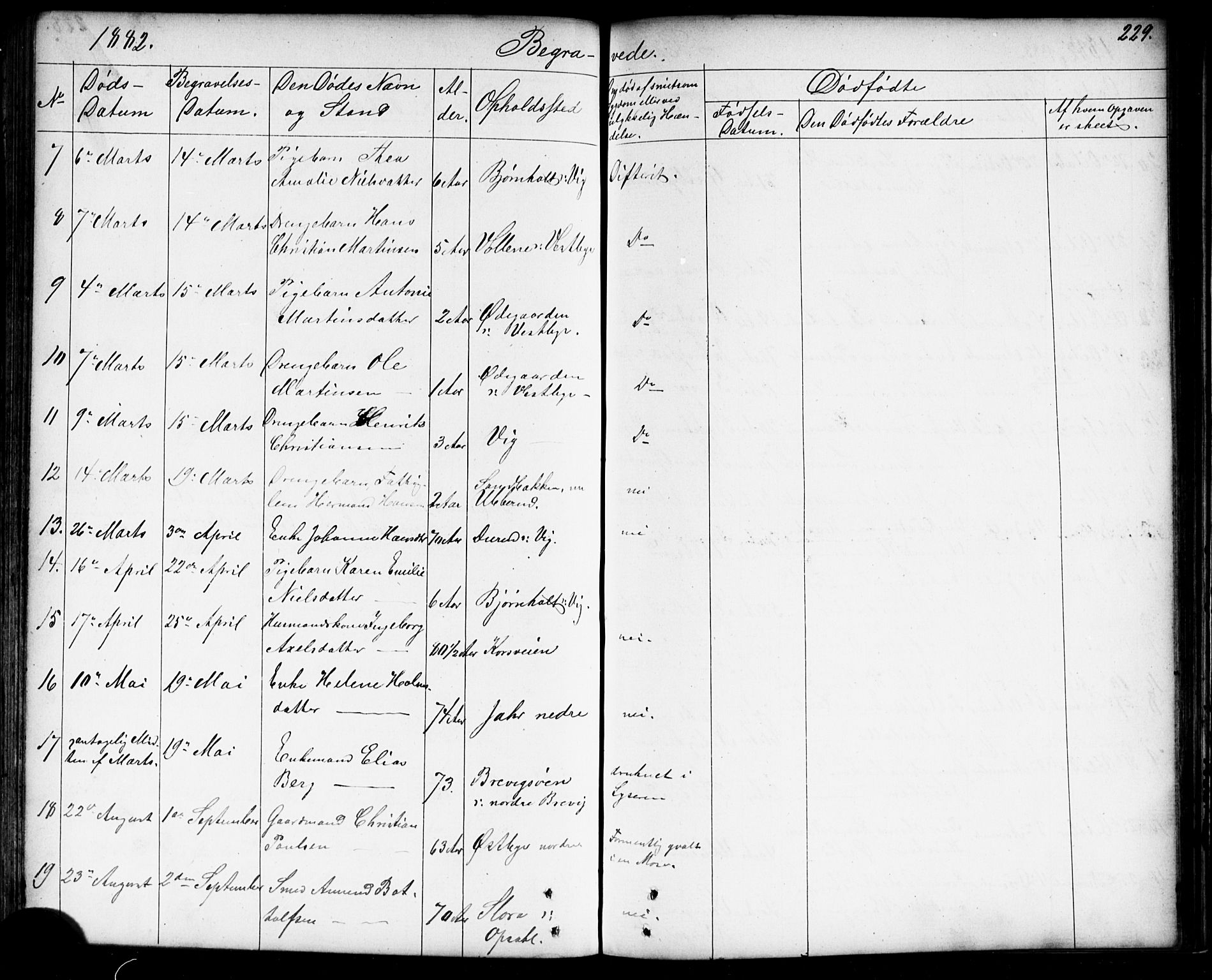 Enebakk prestekontor Kirkebøker, AV/SAO-A-10171c/G/Gb/L0001: Klokkerbok nr. II 1, 1859-1890, s. 229