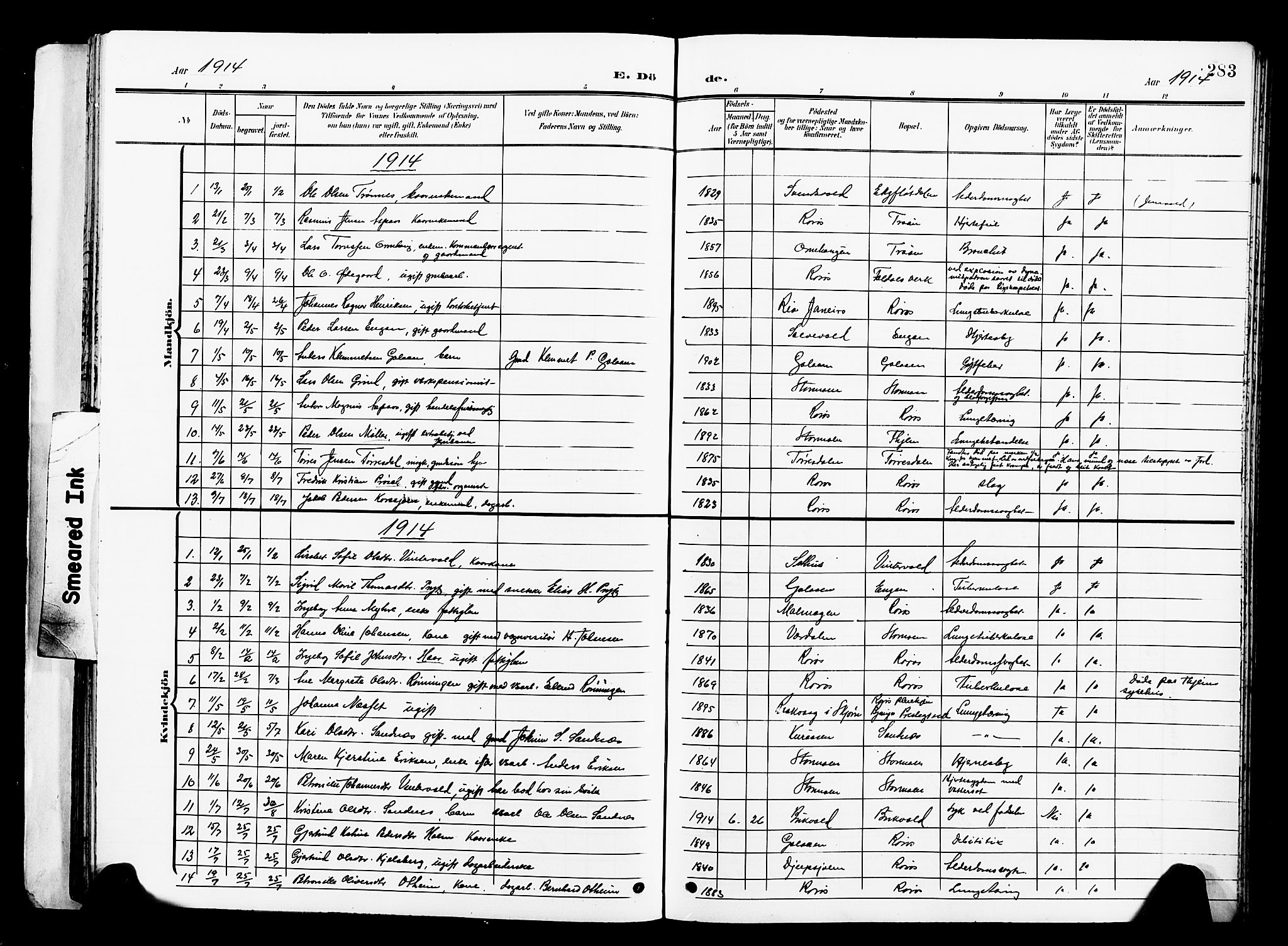Ministerialprotokoller, klokkerbøker og fødselsregistre - Sør-Trøndelag, SAT/A-1456/681/L0942: Klokkerbok nr. 681C06, 1906-1925, s. 283