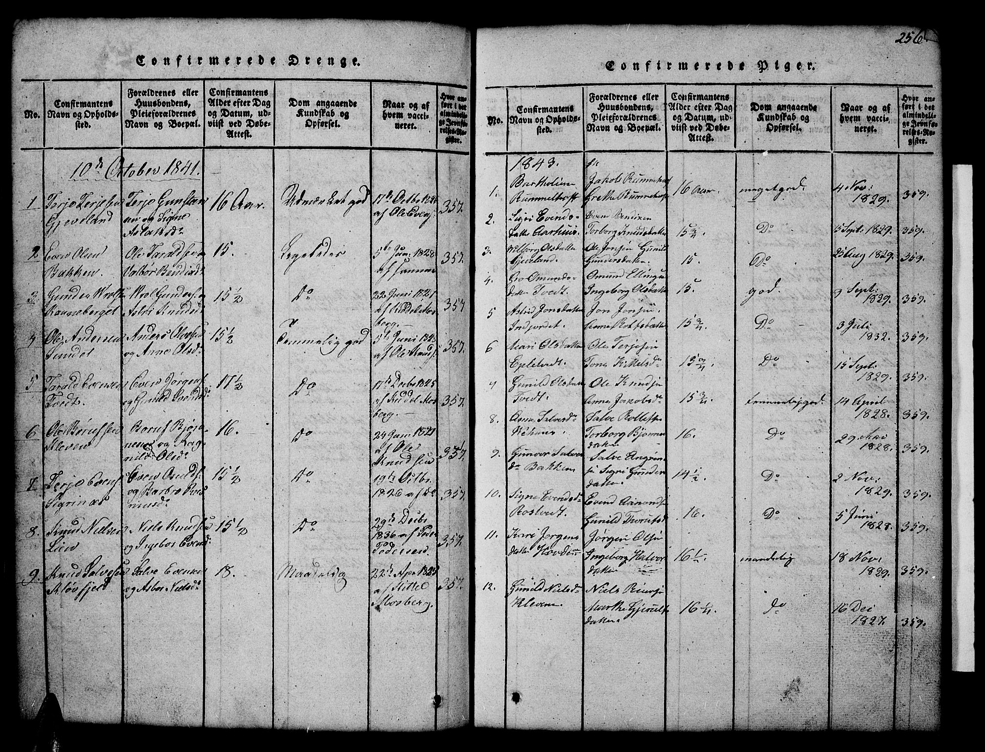 Åmli sokneprestkontor, SAK/1111-0050/F/Fb/Fbc/L0001: Klokkerbok nr. B 1, 1816-1867, s. 256