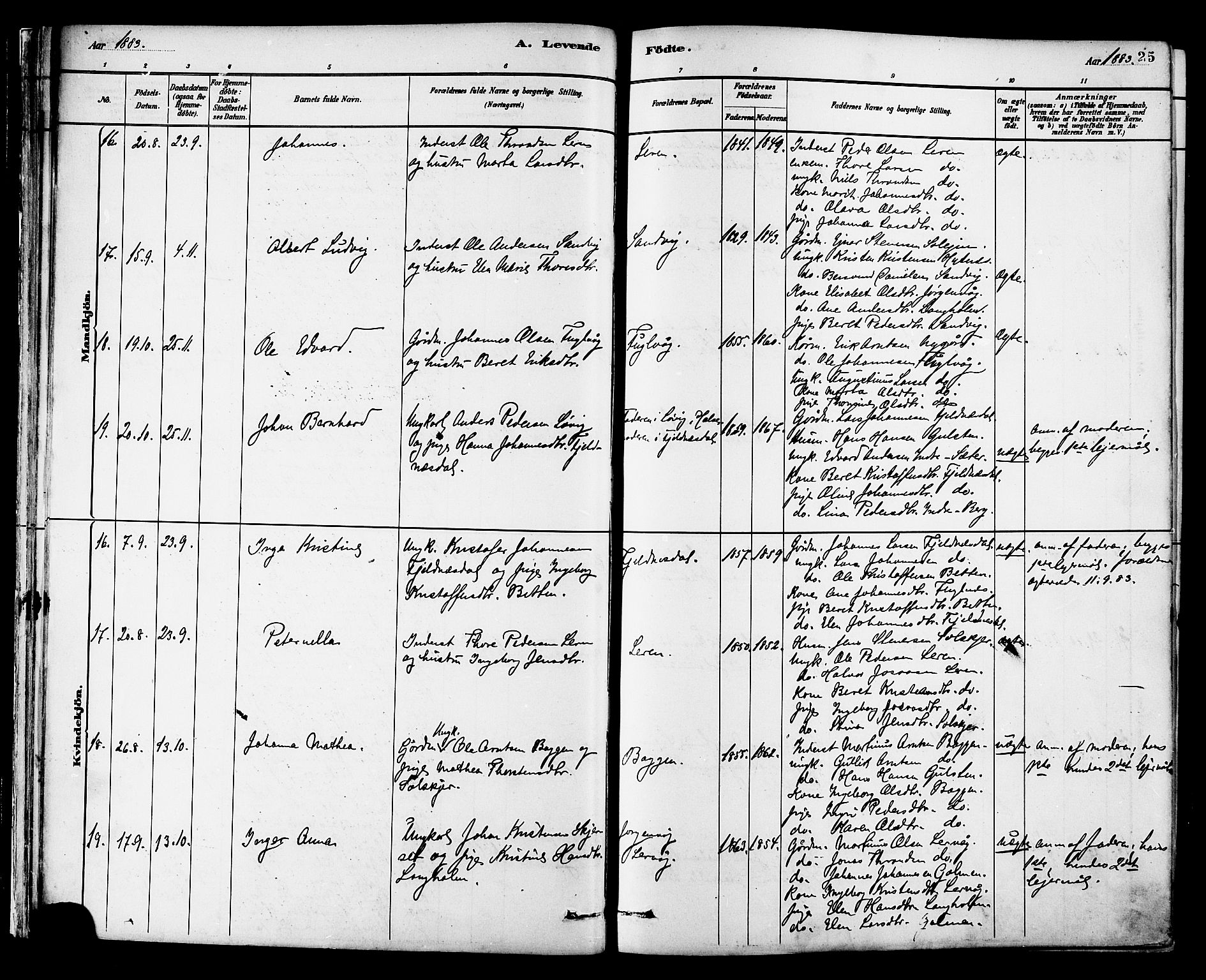 Ministerialprotokoller, klokkerbøker og fødselsregistre - Møre og Romsdal, AV/SAT-A-1454/577/L0896: Ministerialbok nr. 577A03, 1880-1898, s. 25