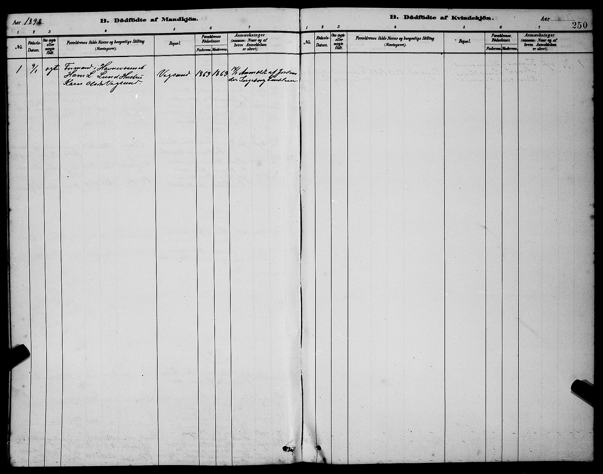 Ministerialprotokoller, klokkerbøker og fødselsregistre - Møre og Romsdal, AV/SAT-A-1454/528/L0431: Klokkerbok nr. 528C12, 1885-1898, s. 250