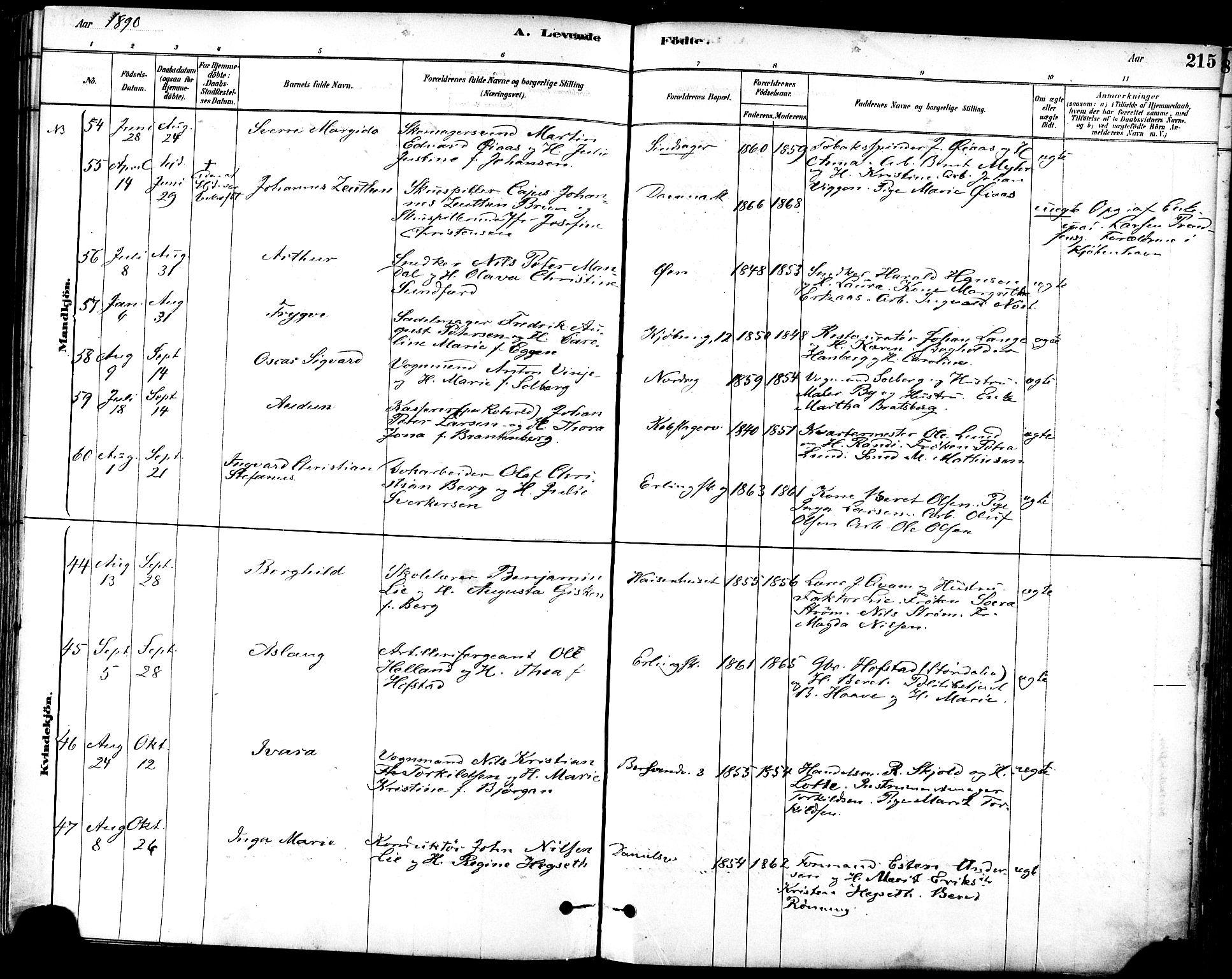 Ministerialprotokoller, klokkerbøker og fødselsregistre - Sør-Trøndelag, SAT/A-1456/601/L0057: Ministerialbok nr. 601A25, 1877-1891, s. 215