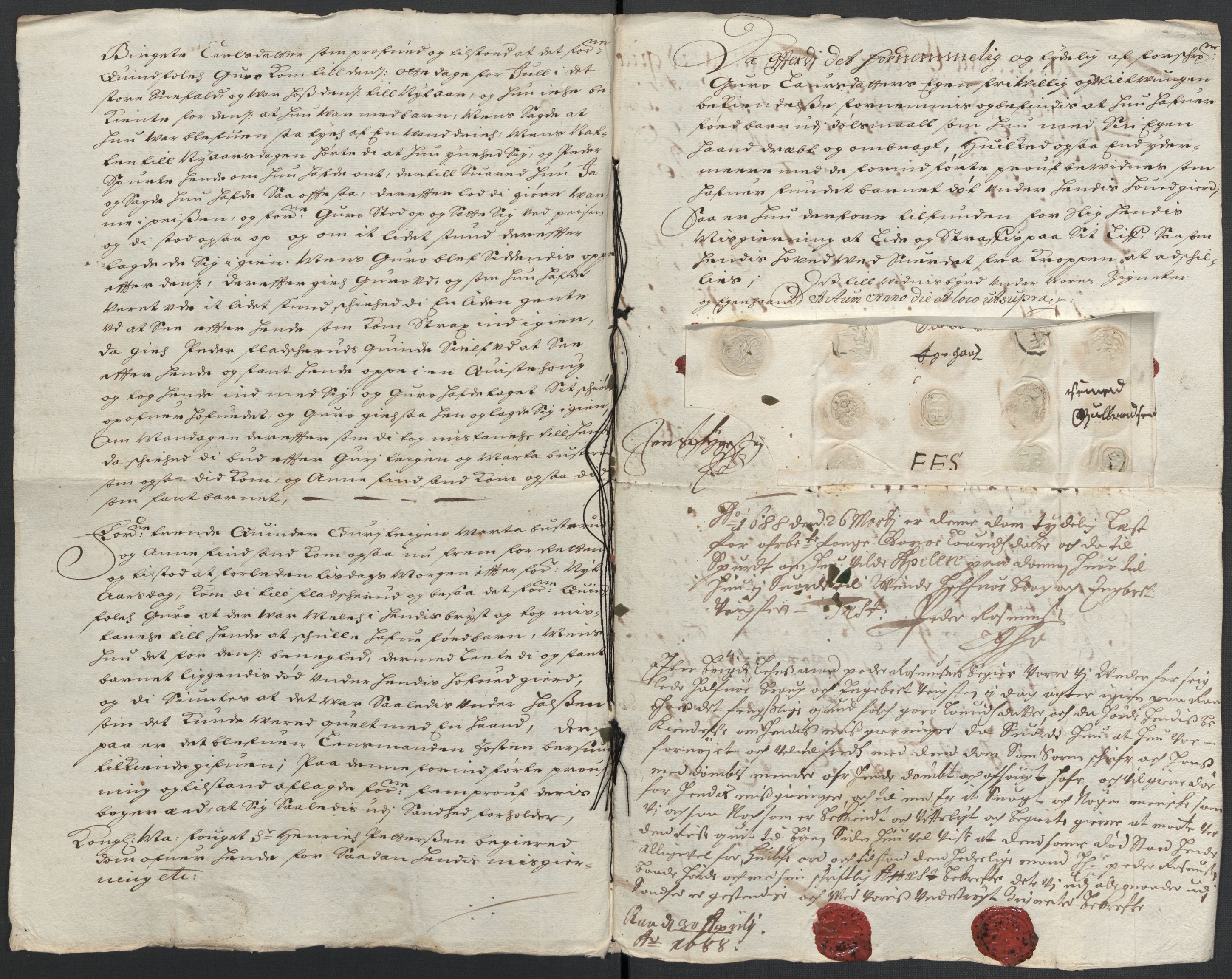 Rentekammeret inntil 1814, Reviderte regnskaper, Fogderegnskap, AV/RA-EA-4092/R21/L1447: Fogderegnskap Ringerike og Hallingdal, 1687-1689, s. 250