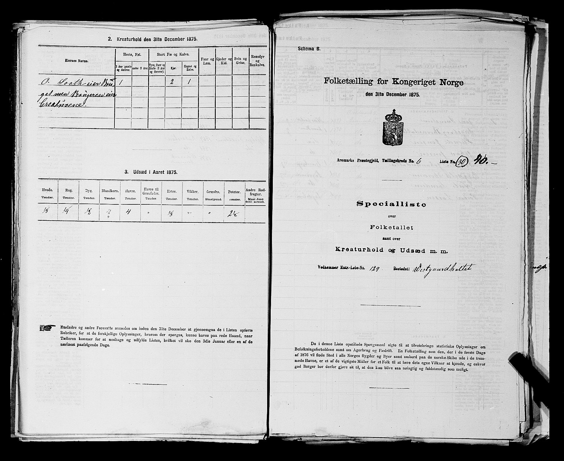 RA, Folketelling 1875 for 0118P Aremark prestegjeld, 1875, s. 894