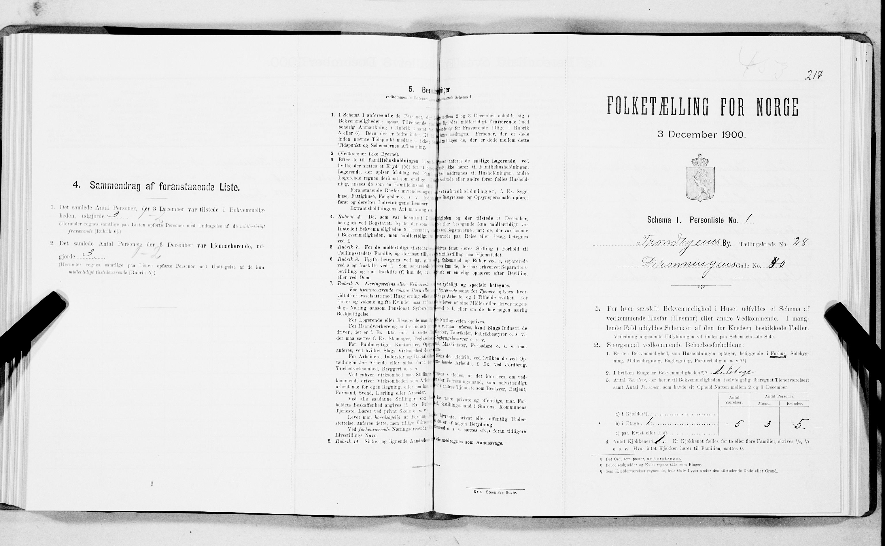 SAT, Folketelling 1900 for 1601 Trondheim kjøpstad, 1900, s. 4225