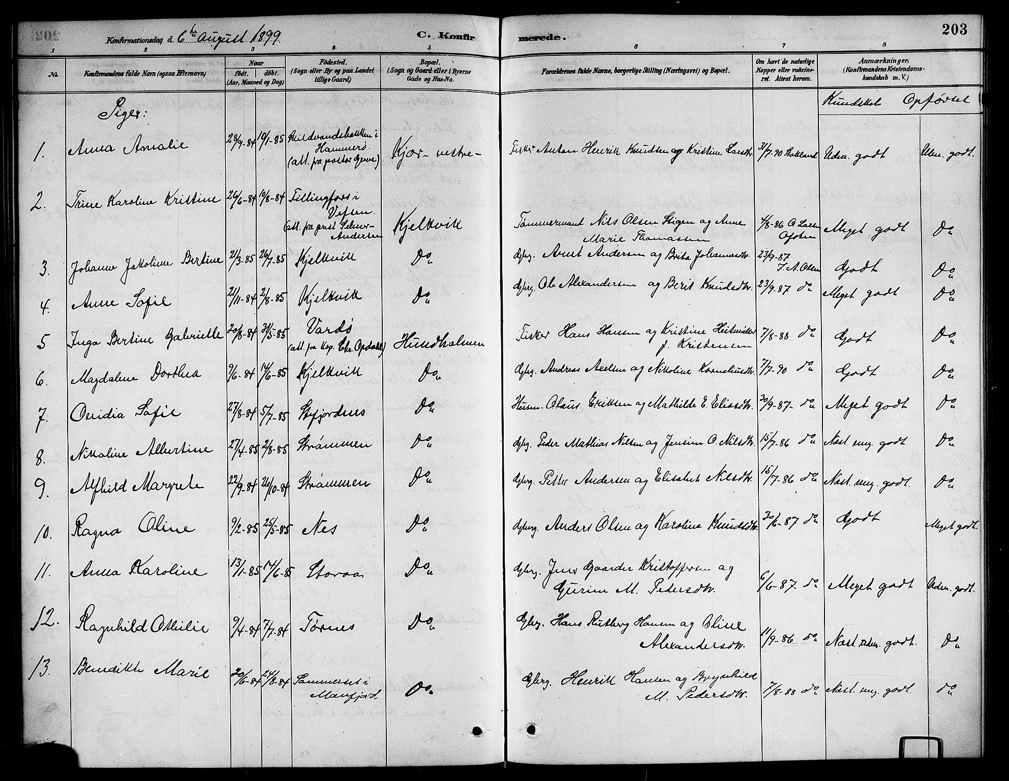 Ministerialprotokoller, klokkerbøker og fødselsregistre - Nordland, AV/SAT-A-1459/861/L0876: Klokkerbok nr. 861C02, 1887-1903, s. 203