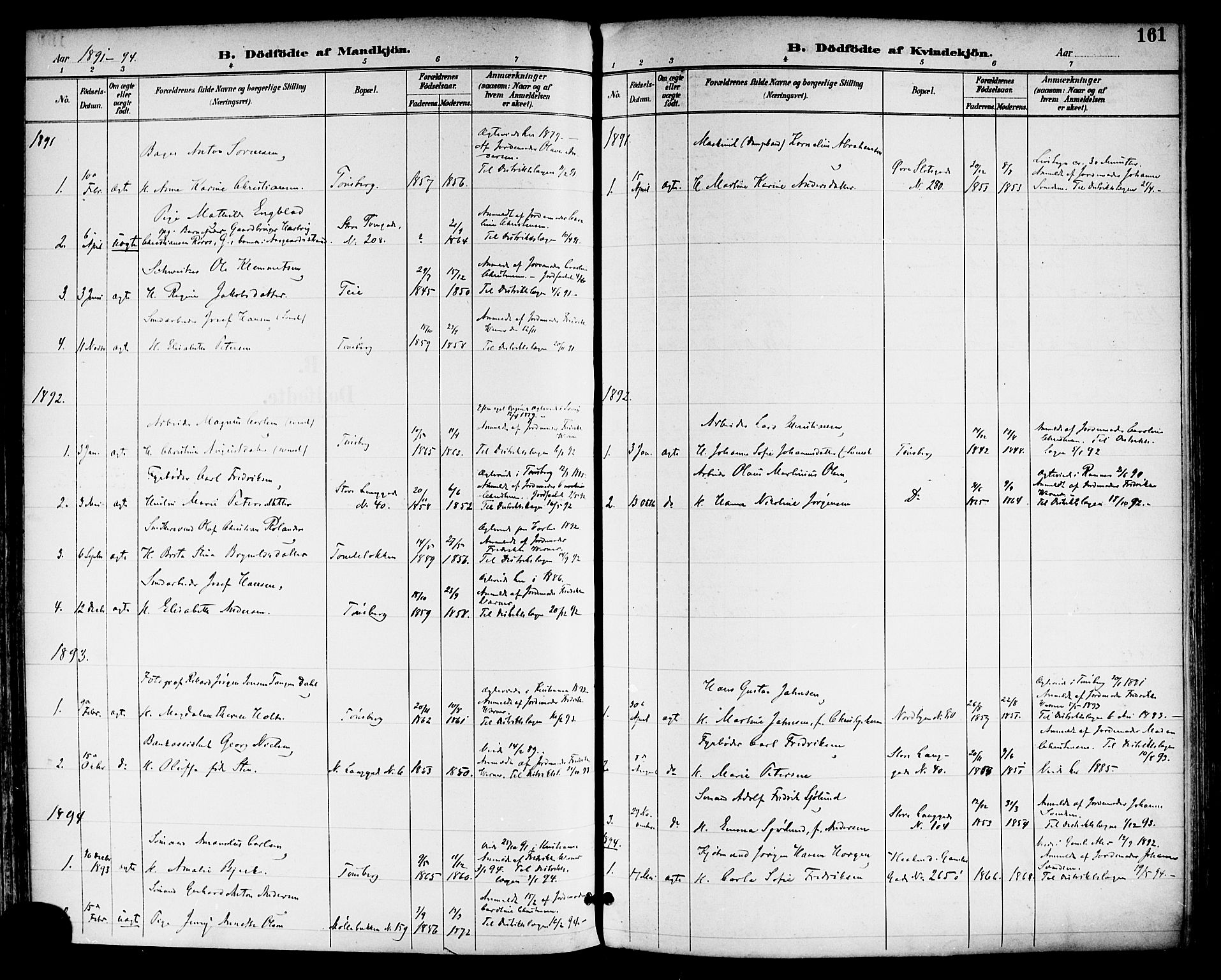Tønsberg kirkebøker, AV/SAKO-A-330/F/Fa/L0012: Ministerialbok nr. I 12, 1891-1899, s. 161