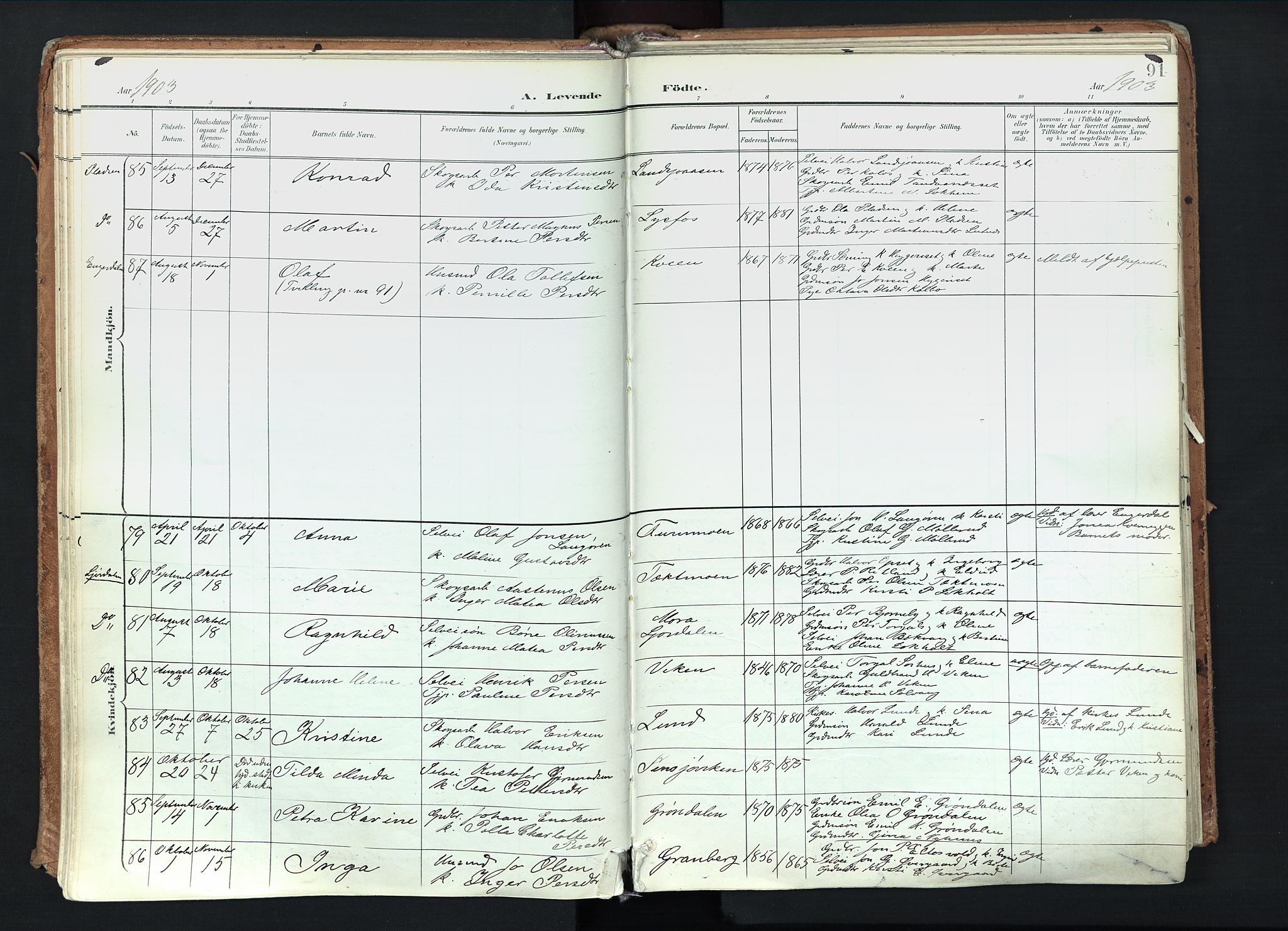 Trysil prestekontor, AV/SAH-PREST-046/H/Ha/Haa/L0012: Ministerialbok nr. 12, 1898-1917, s. 91