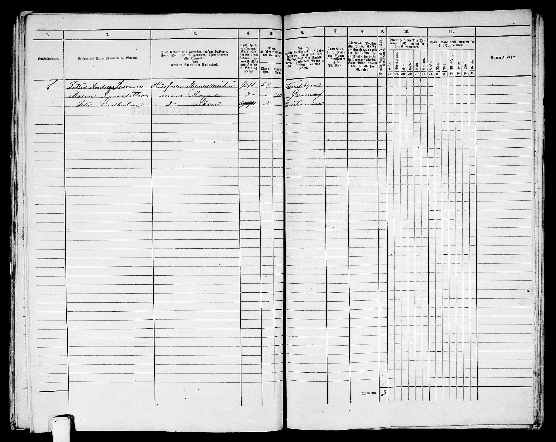 RA, Folketelling 1865 for 1503B Kristiansund prestegjeld, Kristiansund kjøpstad, 1865, s. 1013