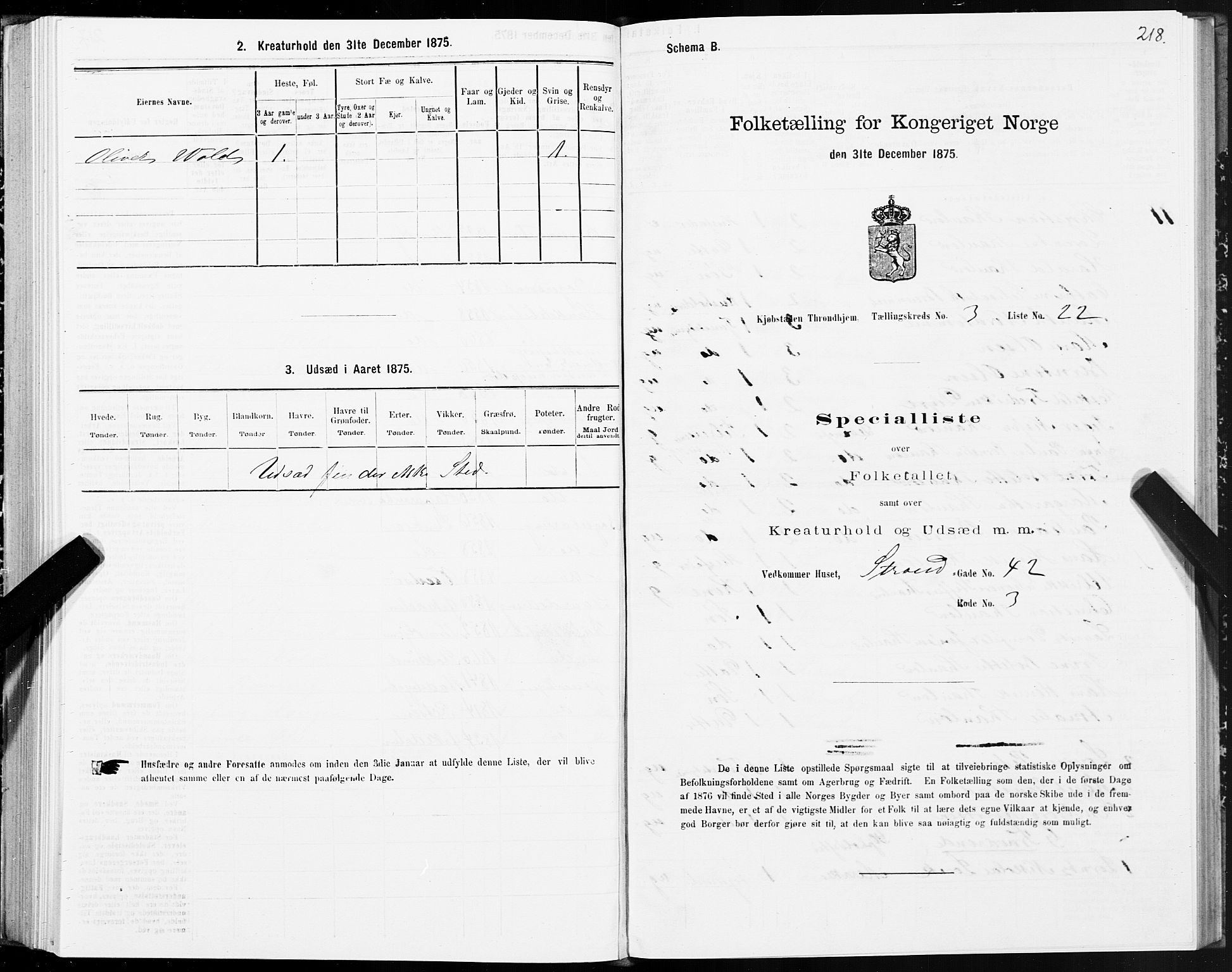 SAT, Folketelling 1875 for 1601 Trondheim kjøpstad, 1875, s. 2218