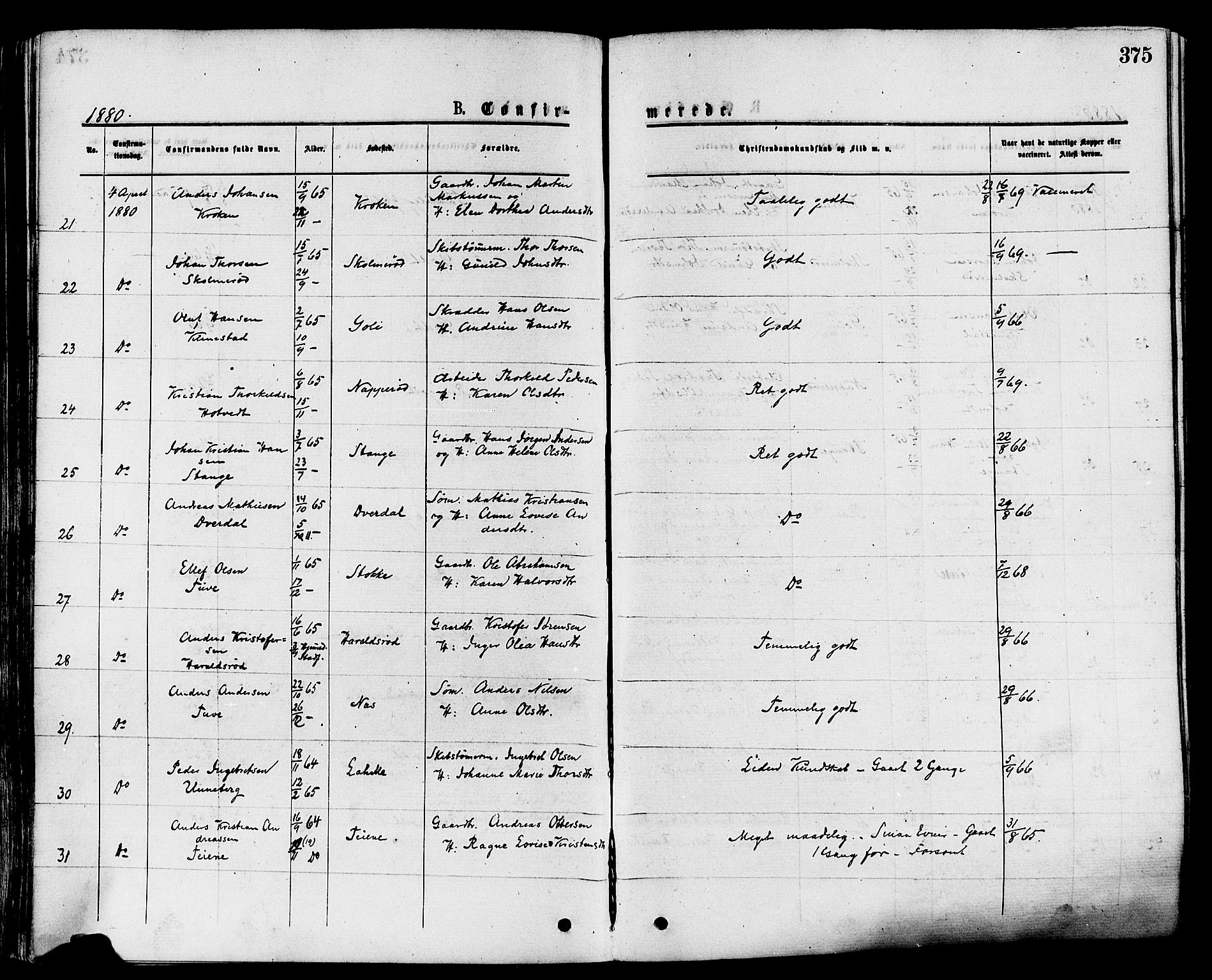 Sandar kirkebøker, AV/SAKO-A-243/F/Fa/L0010: Ministerialbok nr. 10, 1872-1882, s. 375