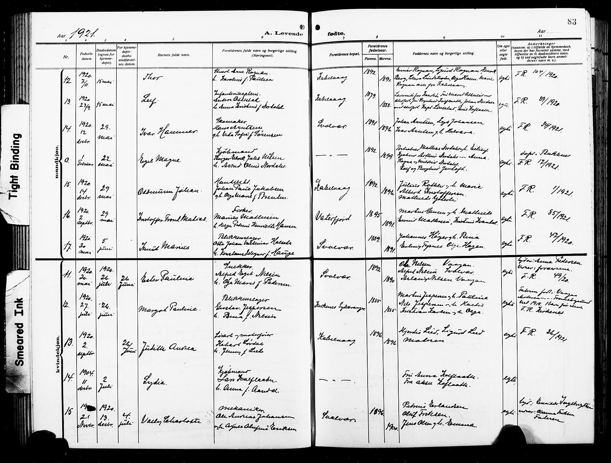 Ministerialprotokoller, klokkerbøker og fødselsregistre - Nordland, AV/SAT-A-1459/874/L1080: Klokkerbok nr. 874C09, 1915-1925, s. 83