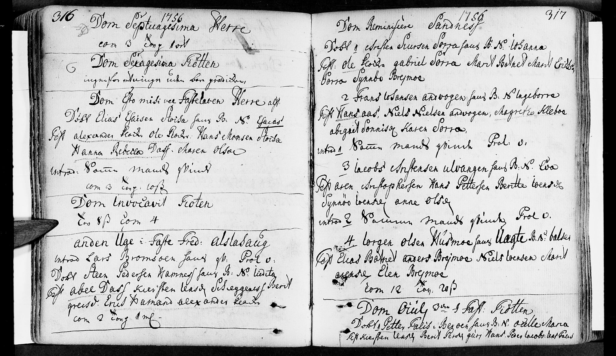 Ministerialprotokoller, klokkerbøker og fødselsregistre - Nordland, AV/SAT-A-1459/830/L0434: Ministerialbok nr. 830A03, 1737-1767, s. 316-317