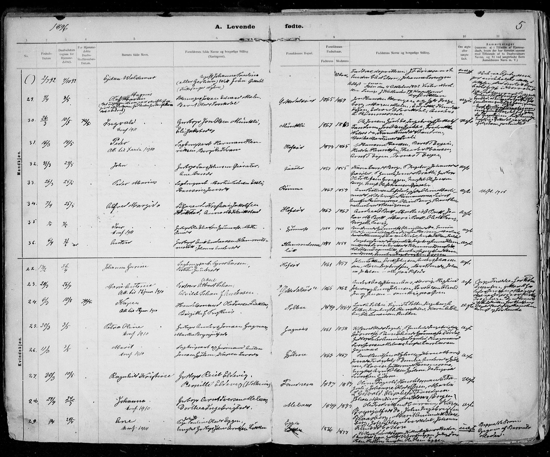 Ministerialprotokoller, klokkerbøker og fødselsregistre - Sør-Trøndelag, SAT/A-1456/668/L0811: Ministerialbok nr. 668A11, 1894-1913, s. 5