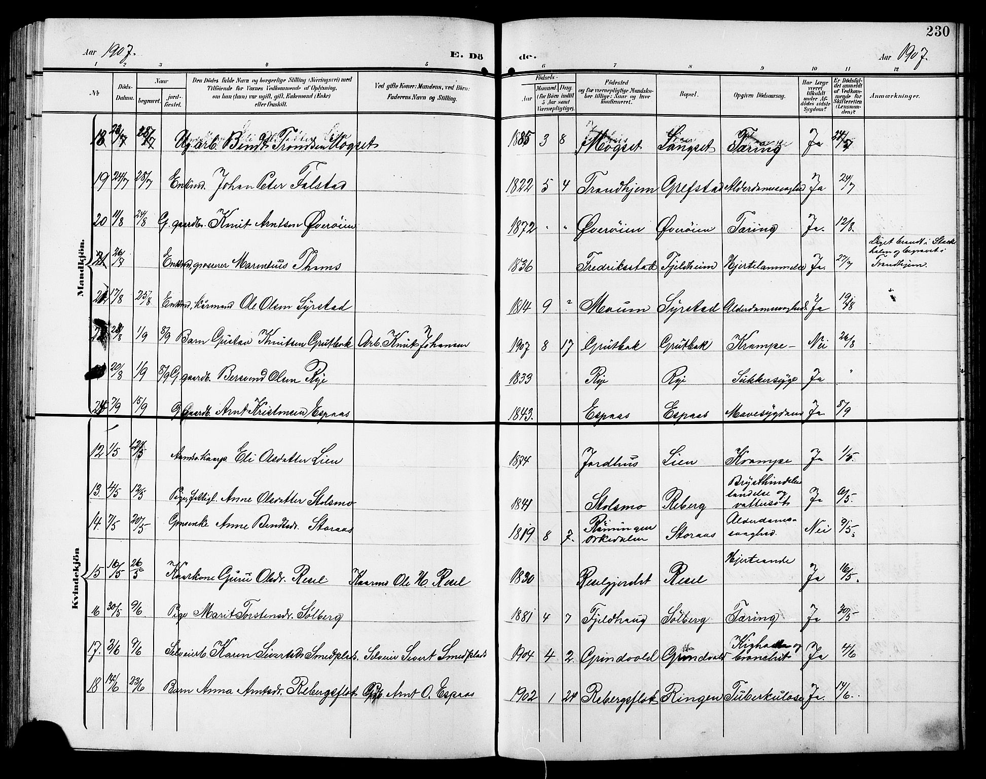 Ministerialprotokoller, klokkerbøker og fødselsregistre - Sør-Trøndelag, AV/SAT-A-1456/672/L0864: Klokkerbok nr. 672C03, 1902-1914, s. 230