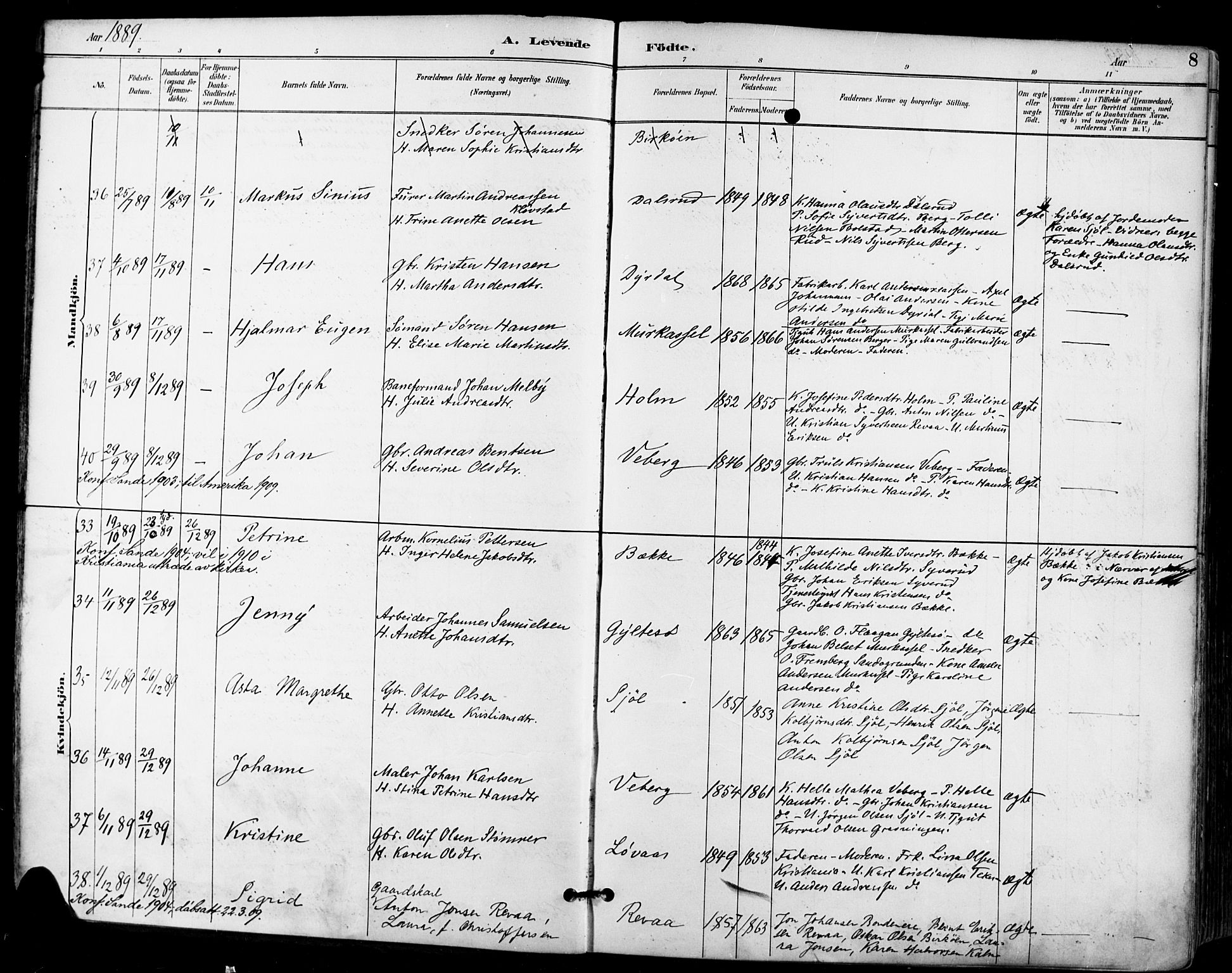 Sande Kirkebøker, AV/SAKO-A-53/F/Fa/L0007: Ministerialbok nr. 7, 1888-1903, s. 8