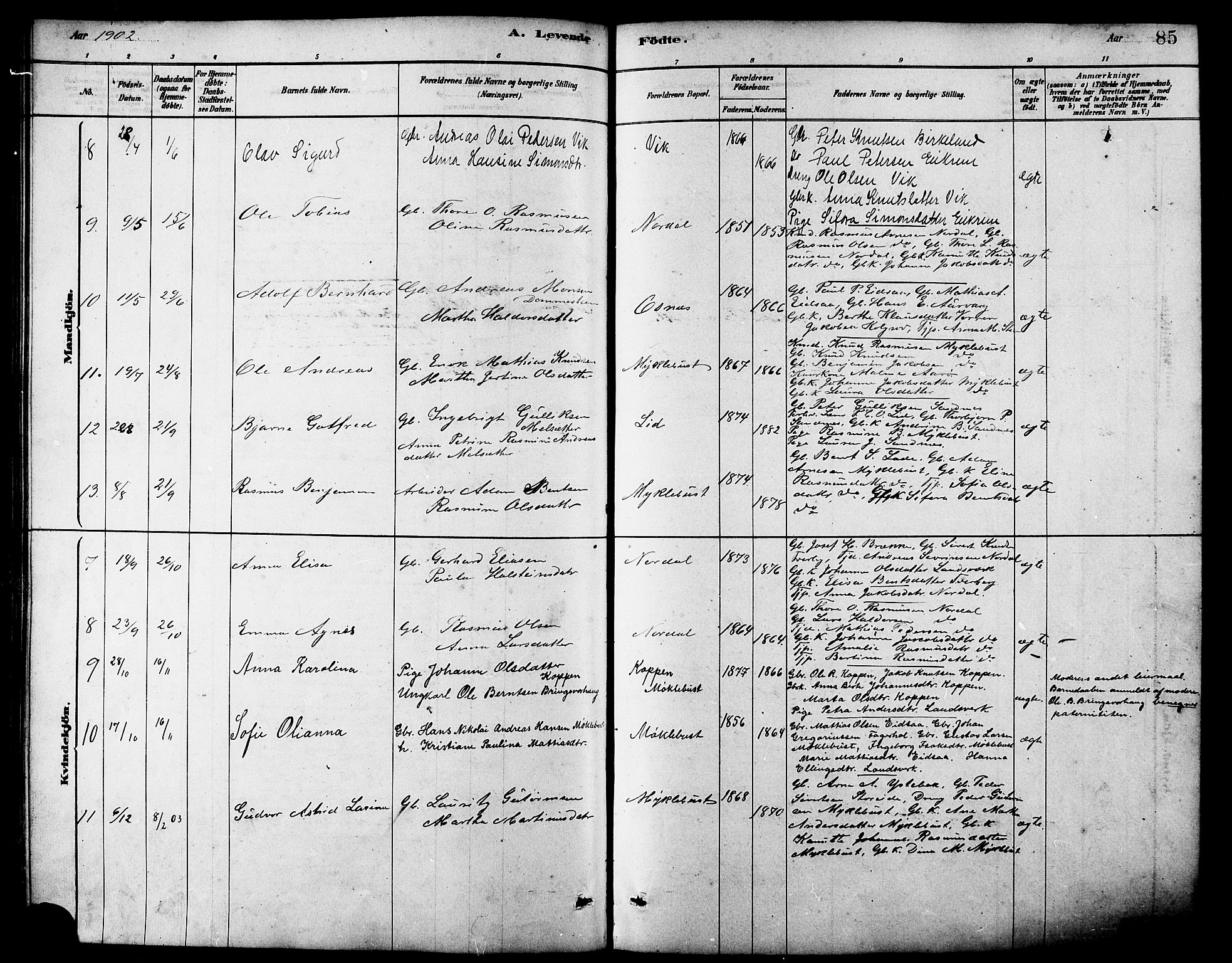 Ministerialprotokoller, klokkerbøker og fødselsregistre - Møre og Romsdal, AV/SAT-A-1454/502/L0027: Klokkerbok nr. 502C01, 1878-1908, s. 85