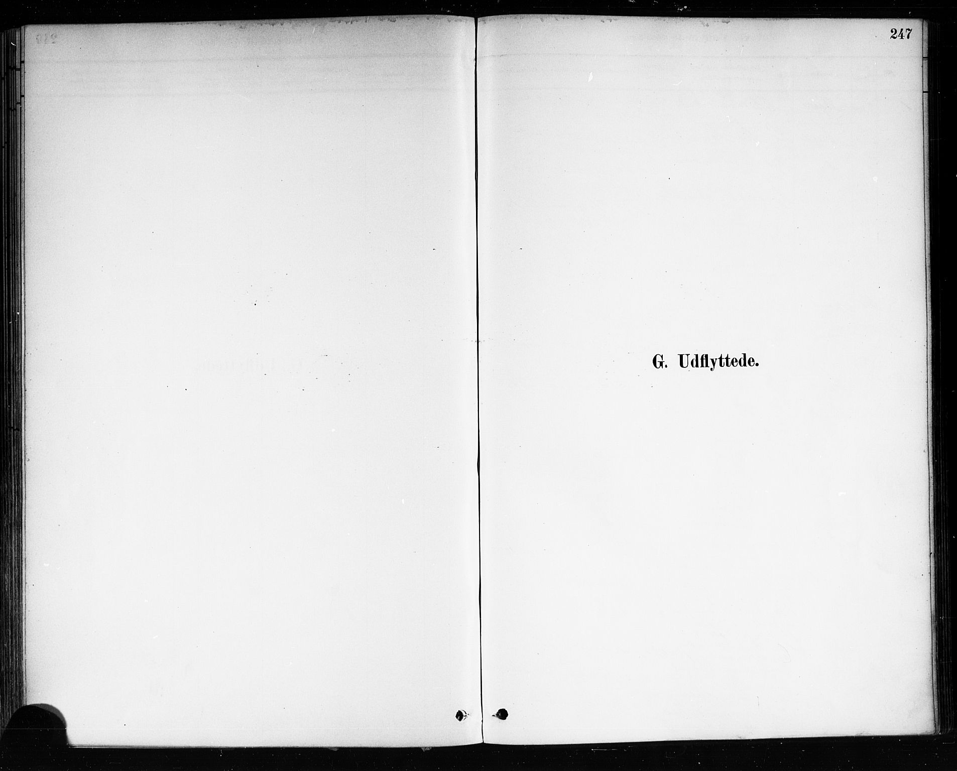 Brevik kirkebøker, SAKO/A-255/F/Fa/L0007: Ministerialbok nr. 7, 1882-1900, s. 247