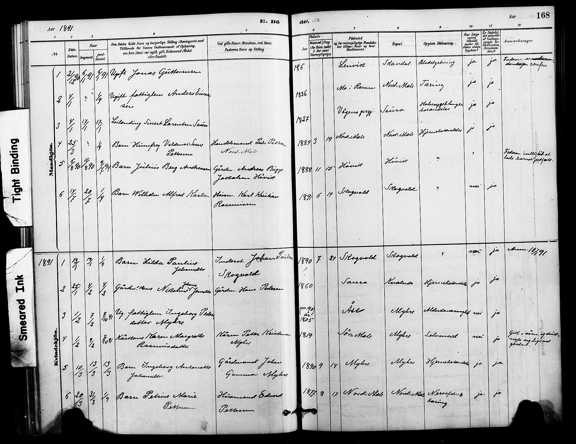 Ministerialprotokoller, klokkerbøker og fødselsregistre - Nordland, AV/SAT-A-1459/897/L1399: Ministerialbok nr. 897C06, 1881-1896, s. 168