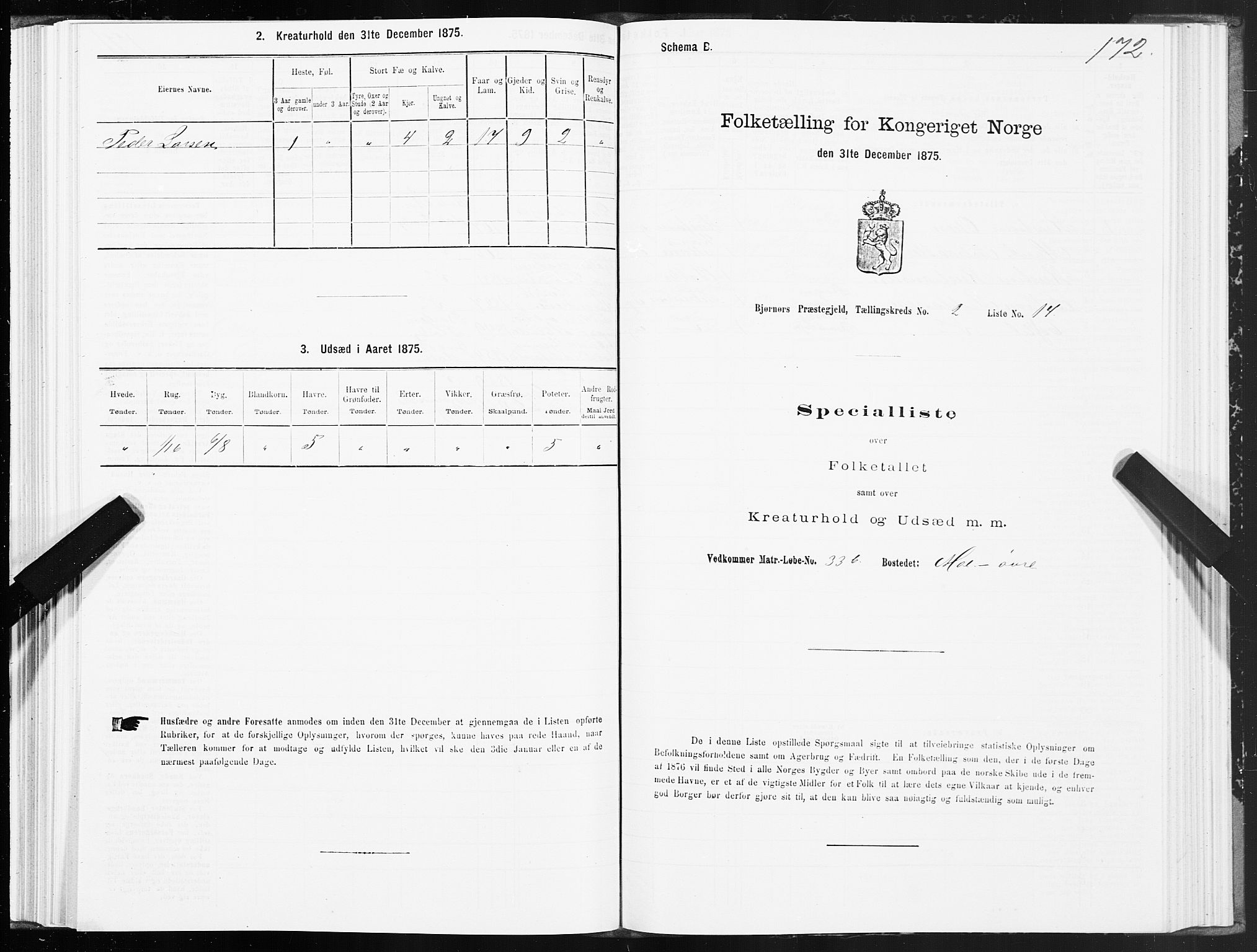 SAT, Folketelling 1875 for 1632P Bjørnør prestegjeld, 1875, s. 1172