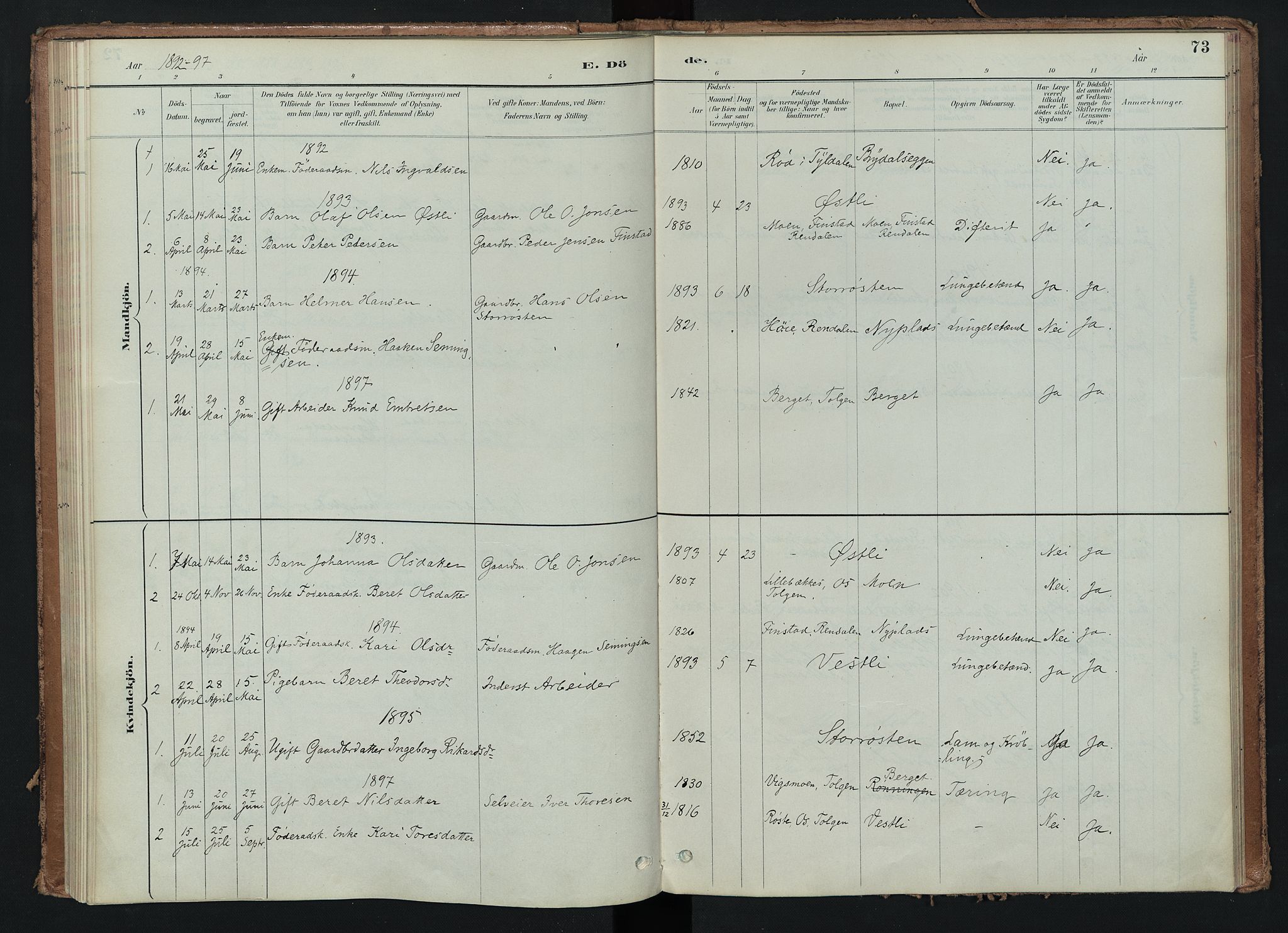 Tynset prestekontor, SAH/PREST-058/H/Ha/Haa/L0024: Ministerialbok nr. 24, 1885-1916, s. 73