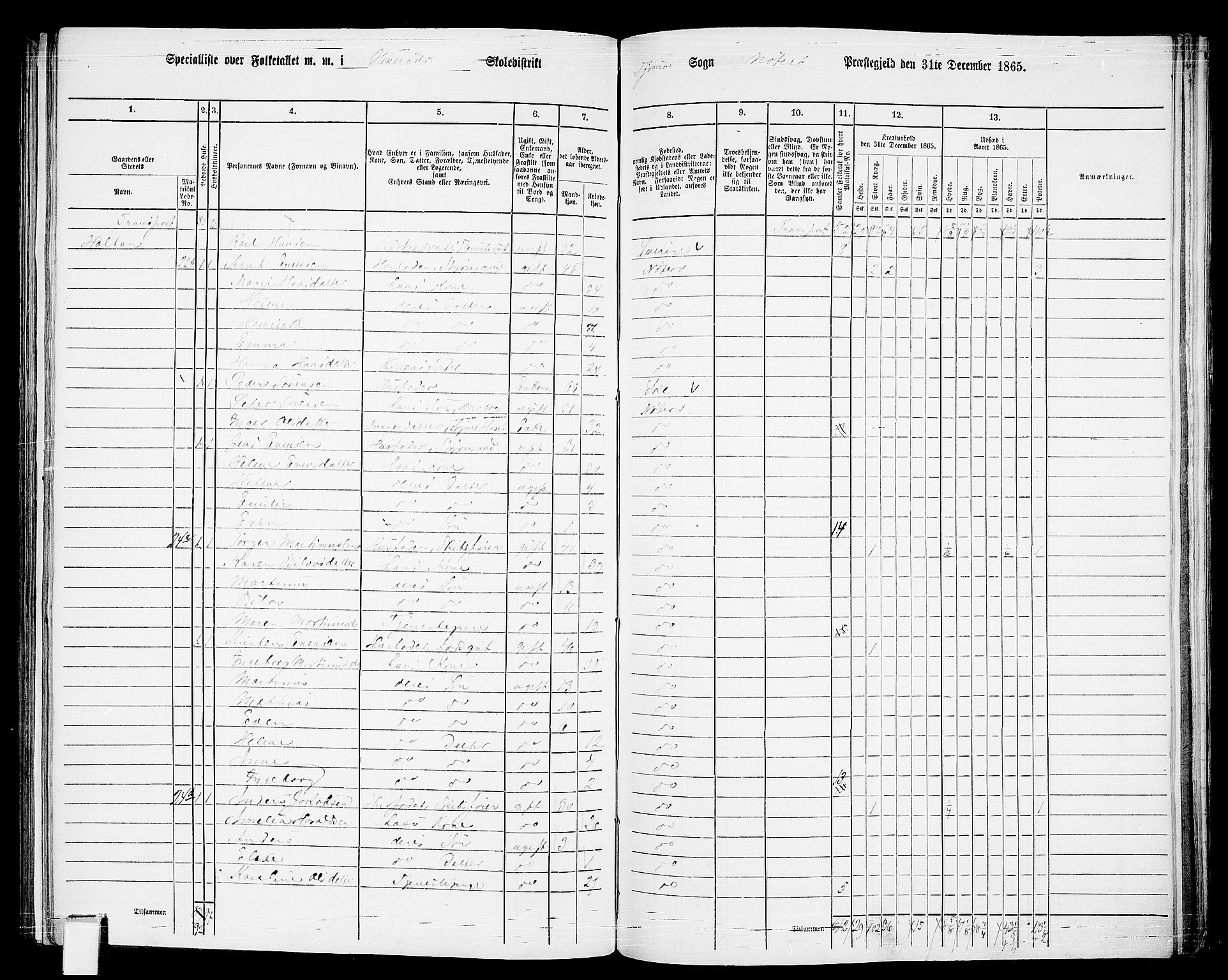 RA, Folketelling 1865 for 0722P Nøtterøy prestegjeld, 1865, s. 224