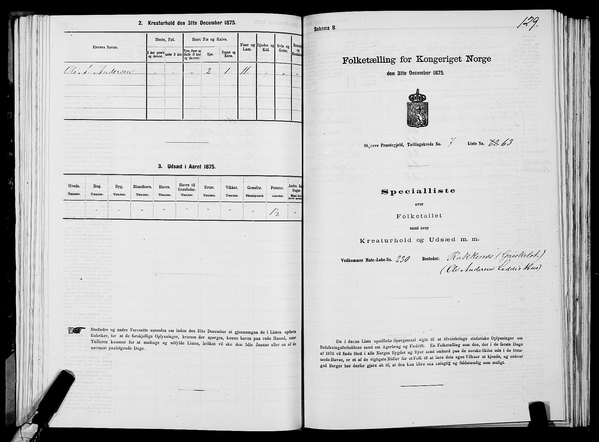 SATØ, Folketelling 1875 for 1941P Skjervøy prestegjeld, 1875, s. 6129