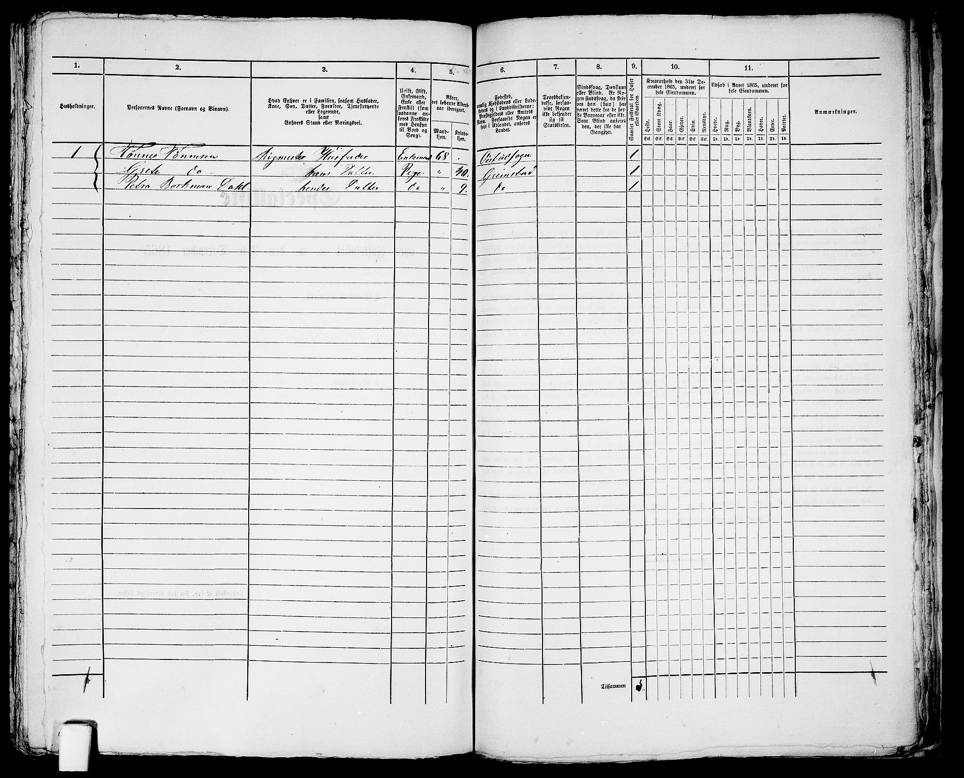 RA, Folketelling 1865 for 0904B Fjære prestegjeld, Grimstad kjøpstad, 1865, s. 365