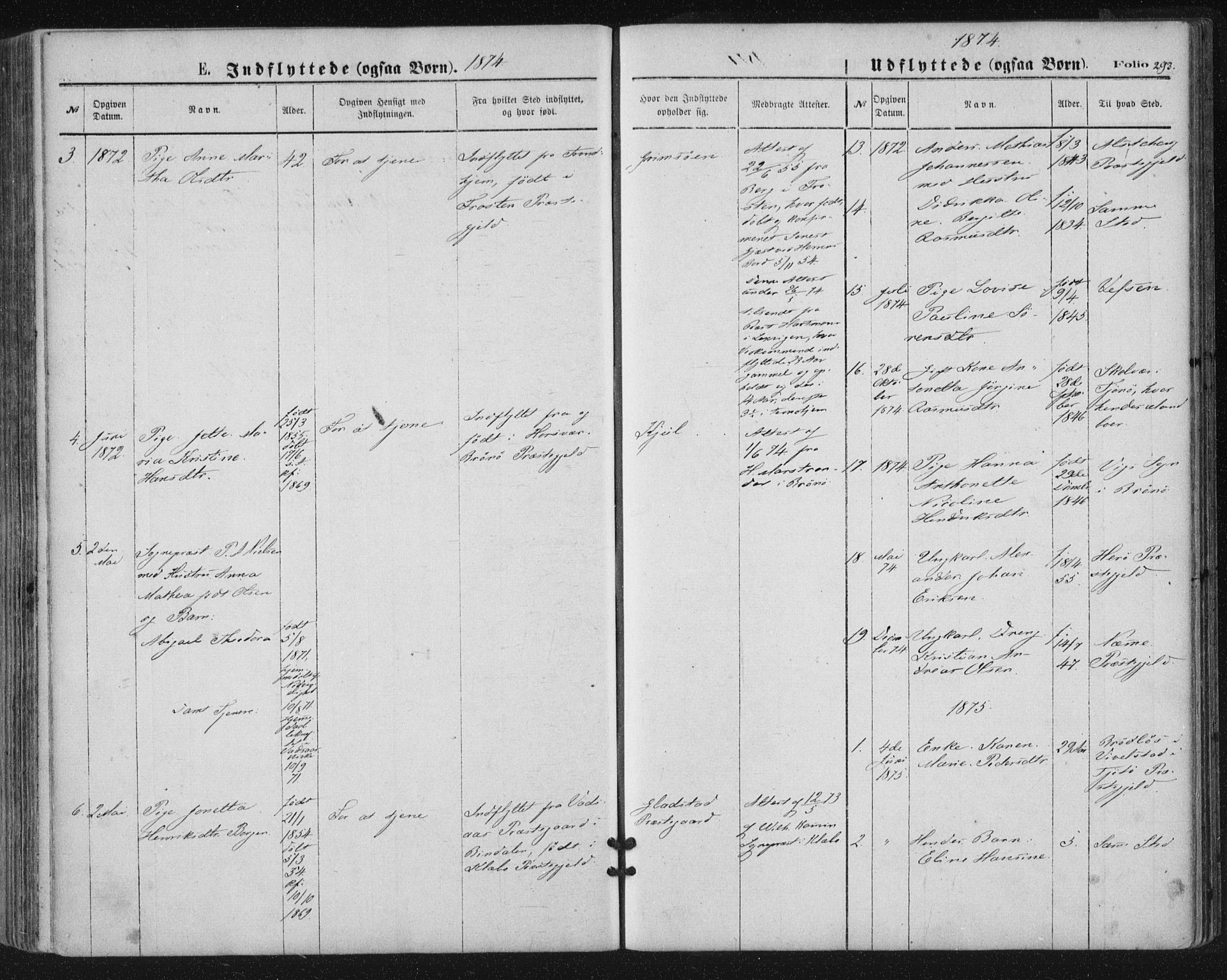 Ministerialprotokoller, klokkerbøker og fødselsregistre - Nordland, SAT/A-1459/816/L0241: Ministerialbok nr. 816A07, 1870-1885, s. 293