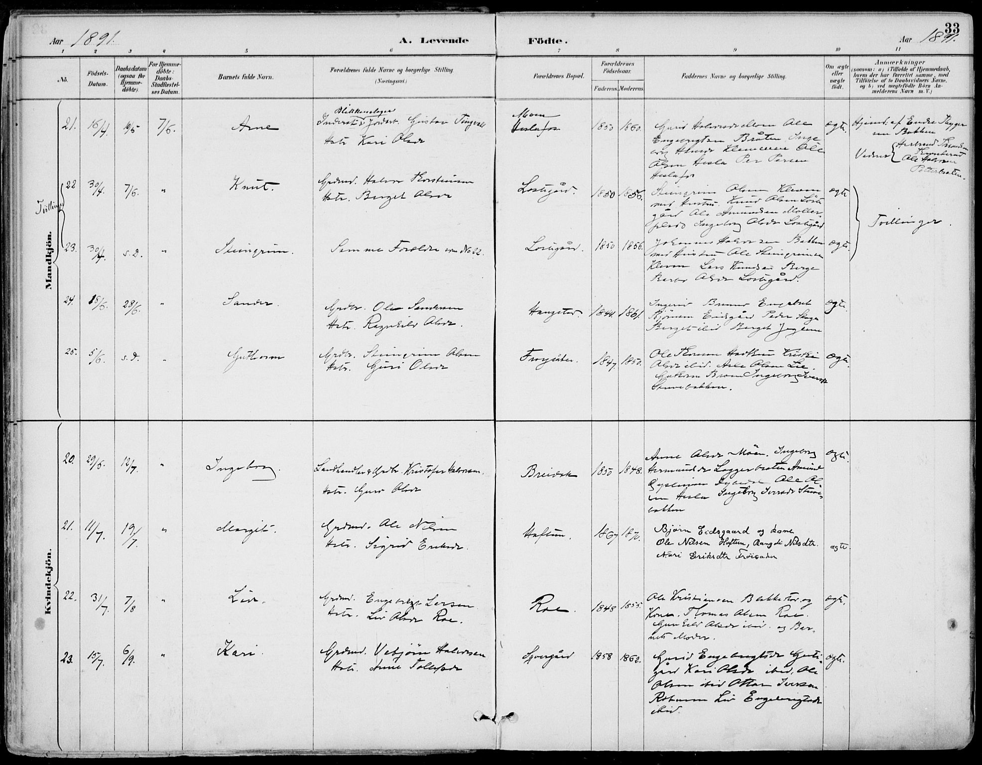 Gol kirkebøker, AV/SAKO-A-226/F/Fa/L0005: Ministerialbok nr. I 5, 1887-1900, s. 33