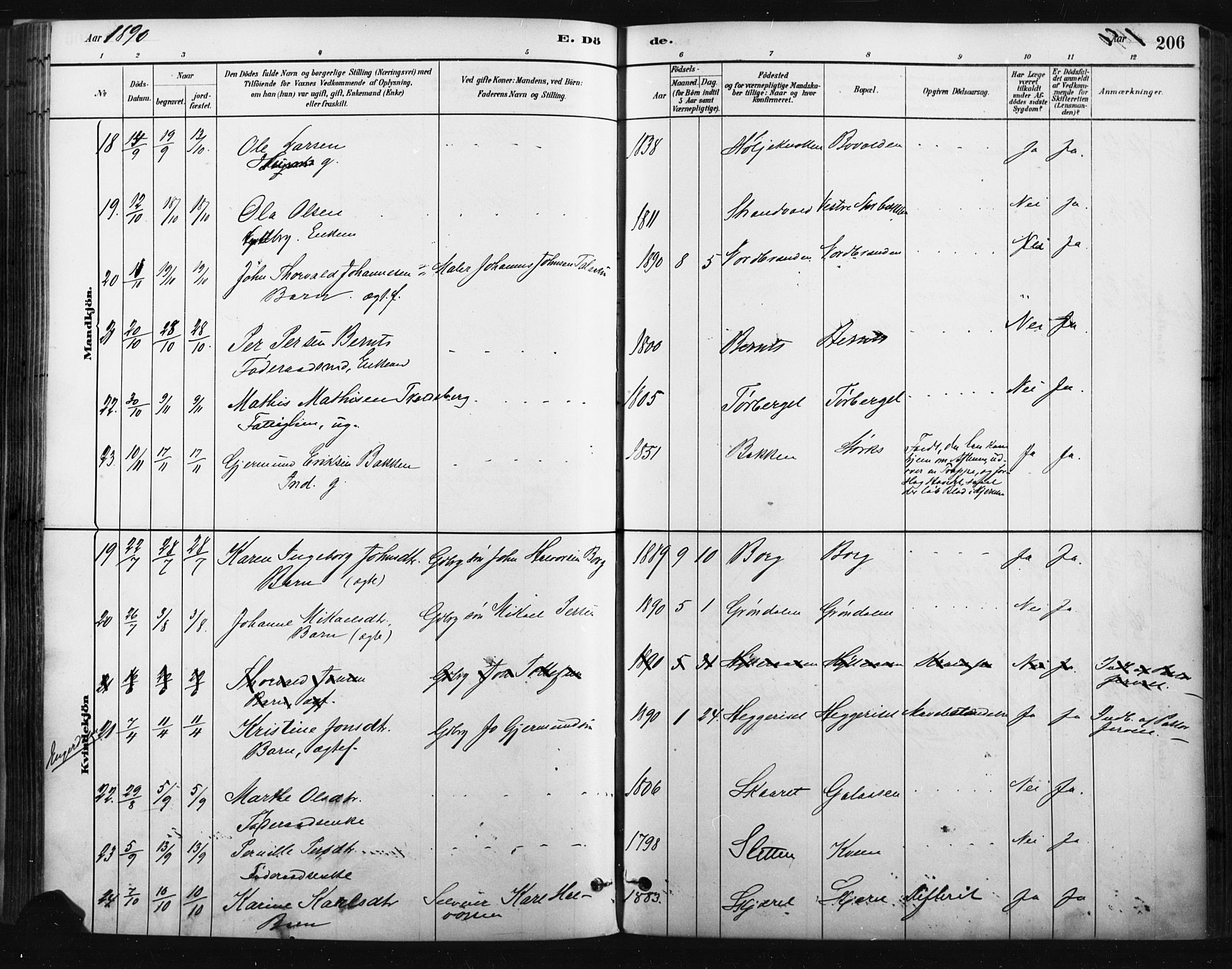 Trysil prestekontor, AV/SAH-PREST-046/H/Ha/Haa/L0009: Ministerialbok nr. 9, 1881-1897, s. 206