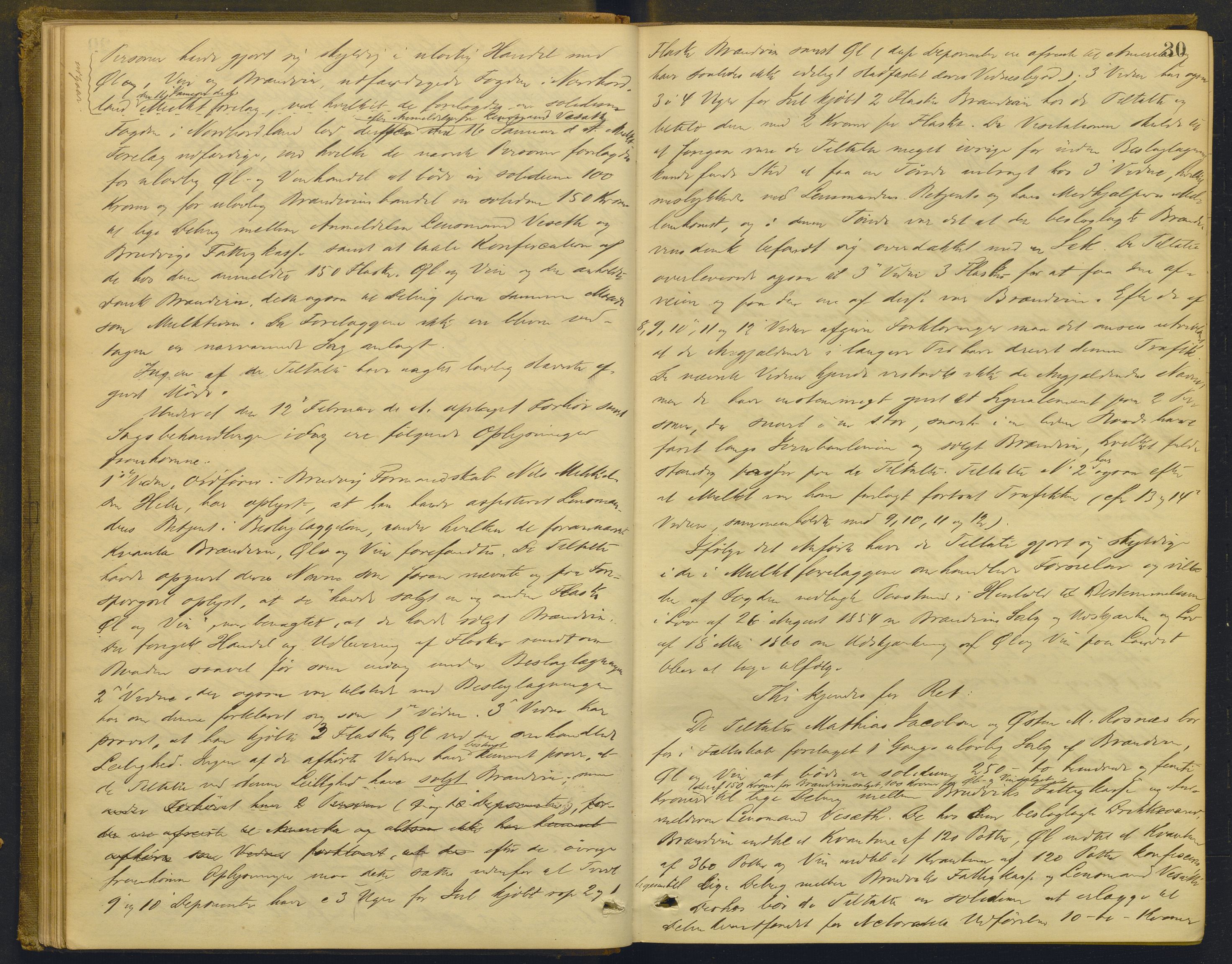 Nordhordland sorenskrivar, AV/SAB-A-2901/1/F/Fd/Fdd/L0004: Ekstrarettsprotokollar, forhøyr, 1880-1884, s. 29b-30a