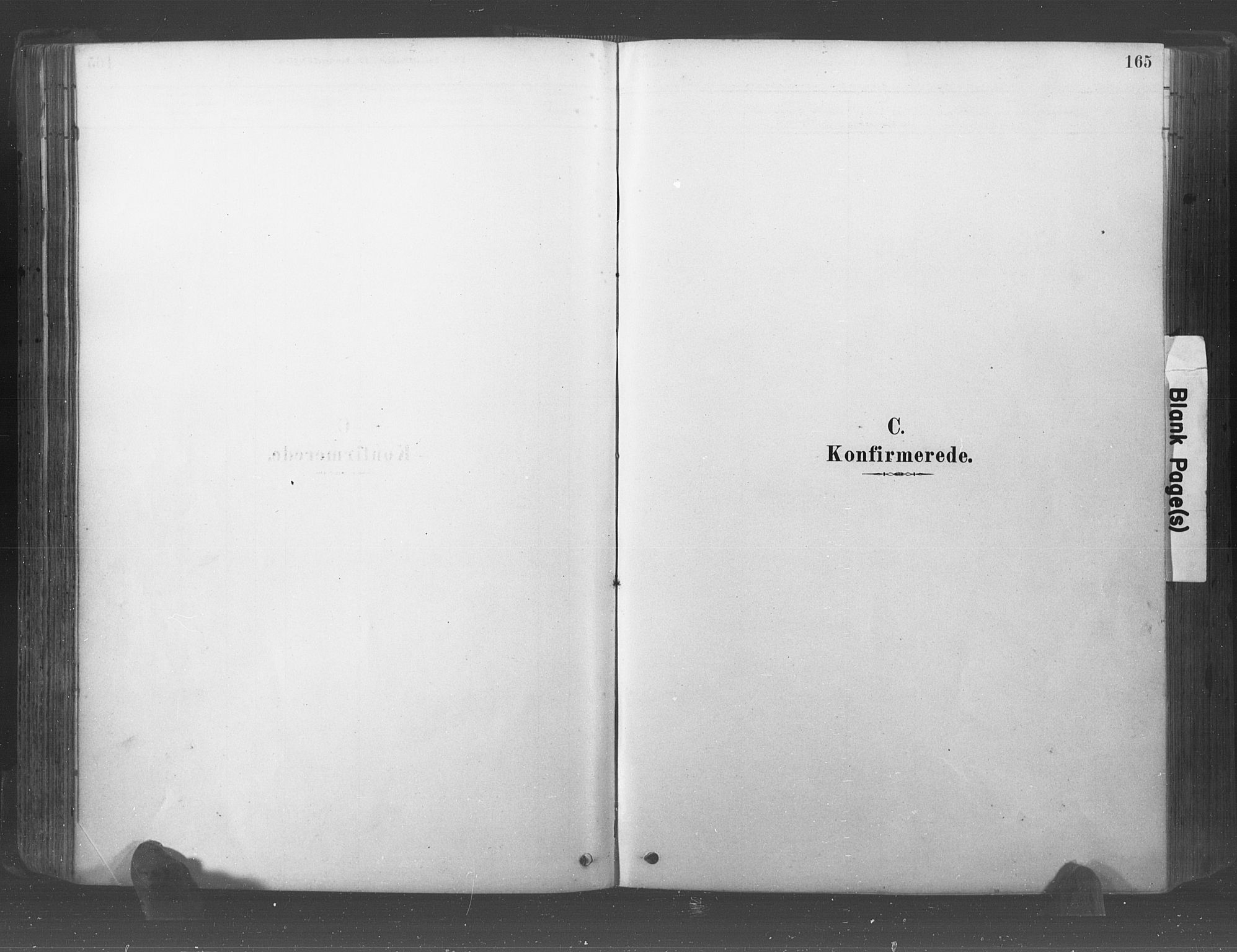 Råde prestekontor kirkebøker, AV/SAO-A-2009/F/Fa/L0007: Ministerialbok nr. 7, 1878-1902, s. 165
