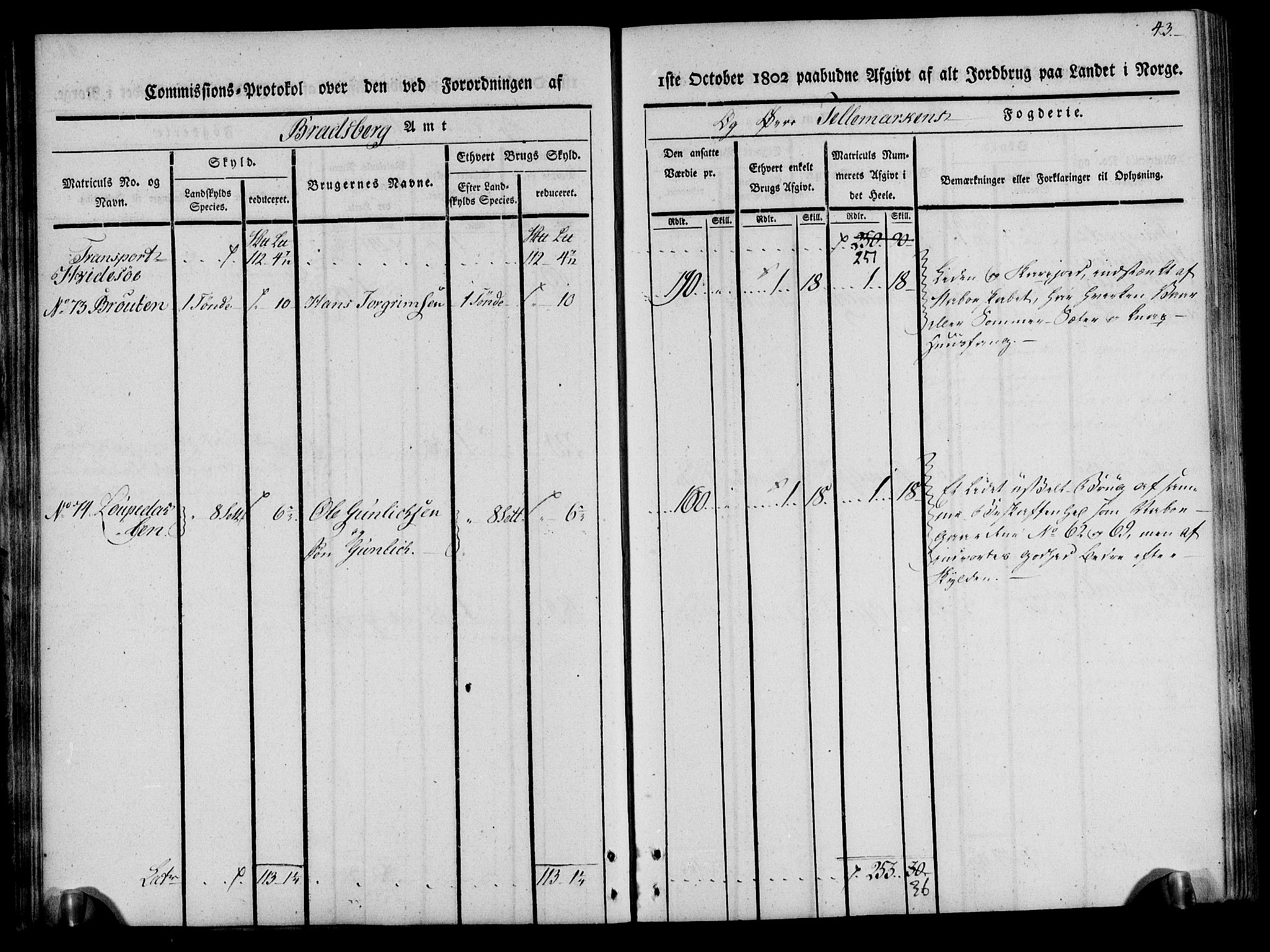 Rentekammeret inntil 1814, Realistisk ordnet avdeling, RA/EA-4070/N/Ne/Nea/L0075: Øvre Telemarken fogderi. Kommisjonsprotokoll for fogderiets vestre del - Kviteseid, Vinje, Moland [):Fyresdal] og Lårdal prestegjeld., 1803, s. 43