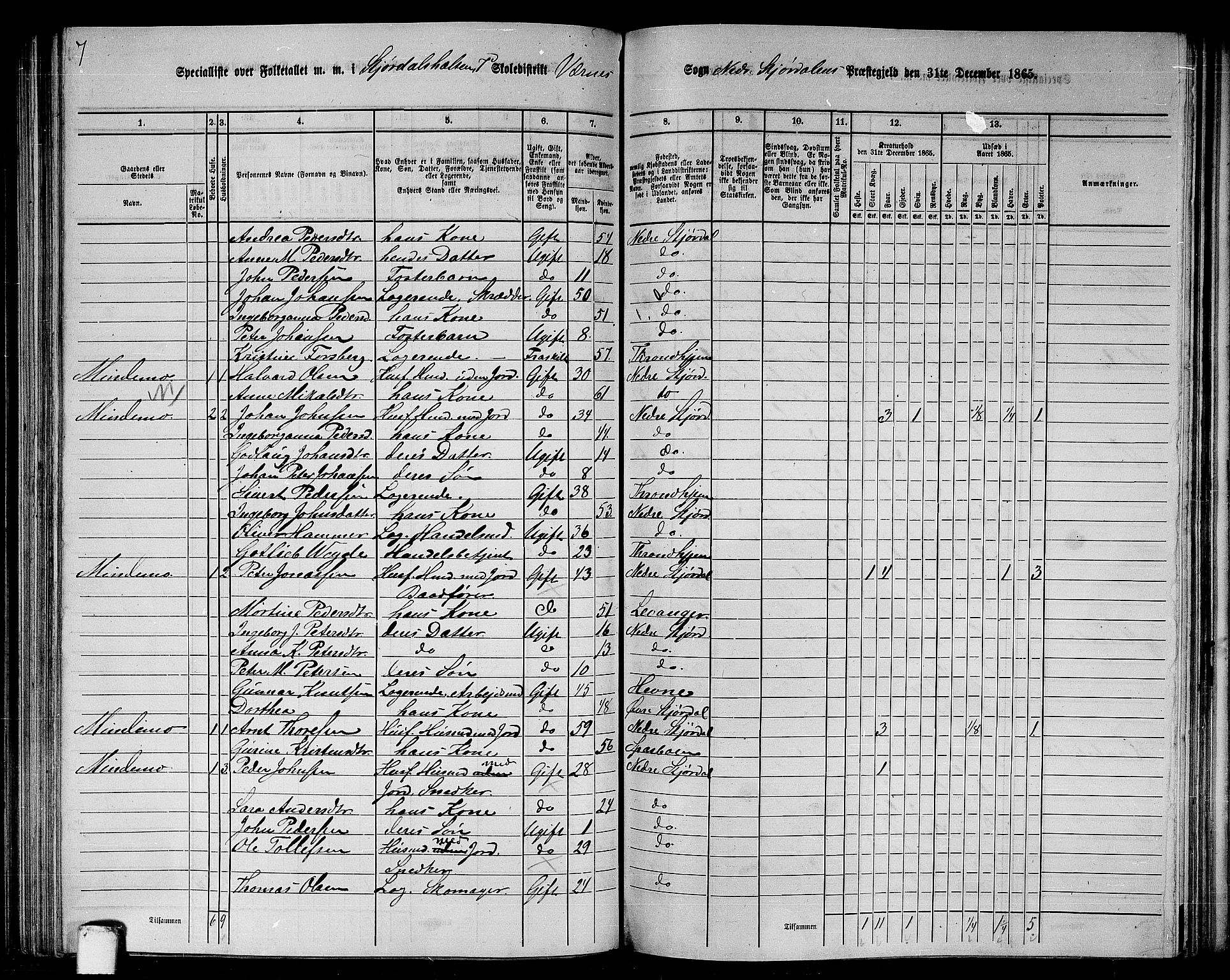 RA, Folketelling 1865 for 1714P Nedre Stjørdal prestegjeld, 1865, s. 171