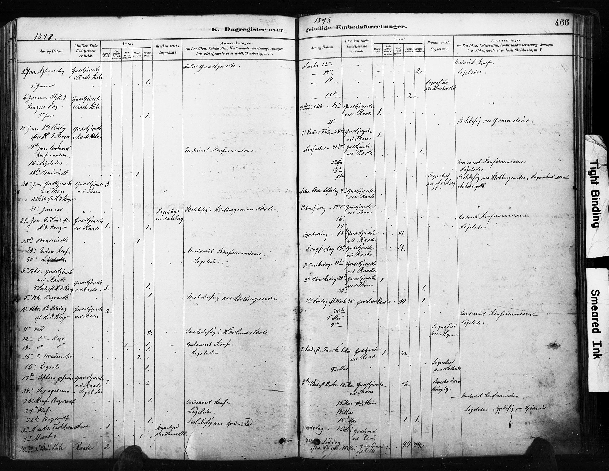 Råde prestekontor kirkebøker, AV/SAO-A-2009/F/Fa/L0007: Ministerialbok nr. 7, 1878-1902, s. 466
