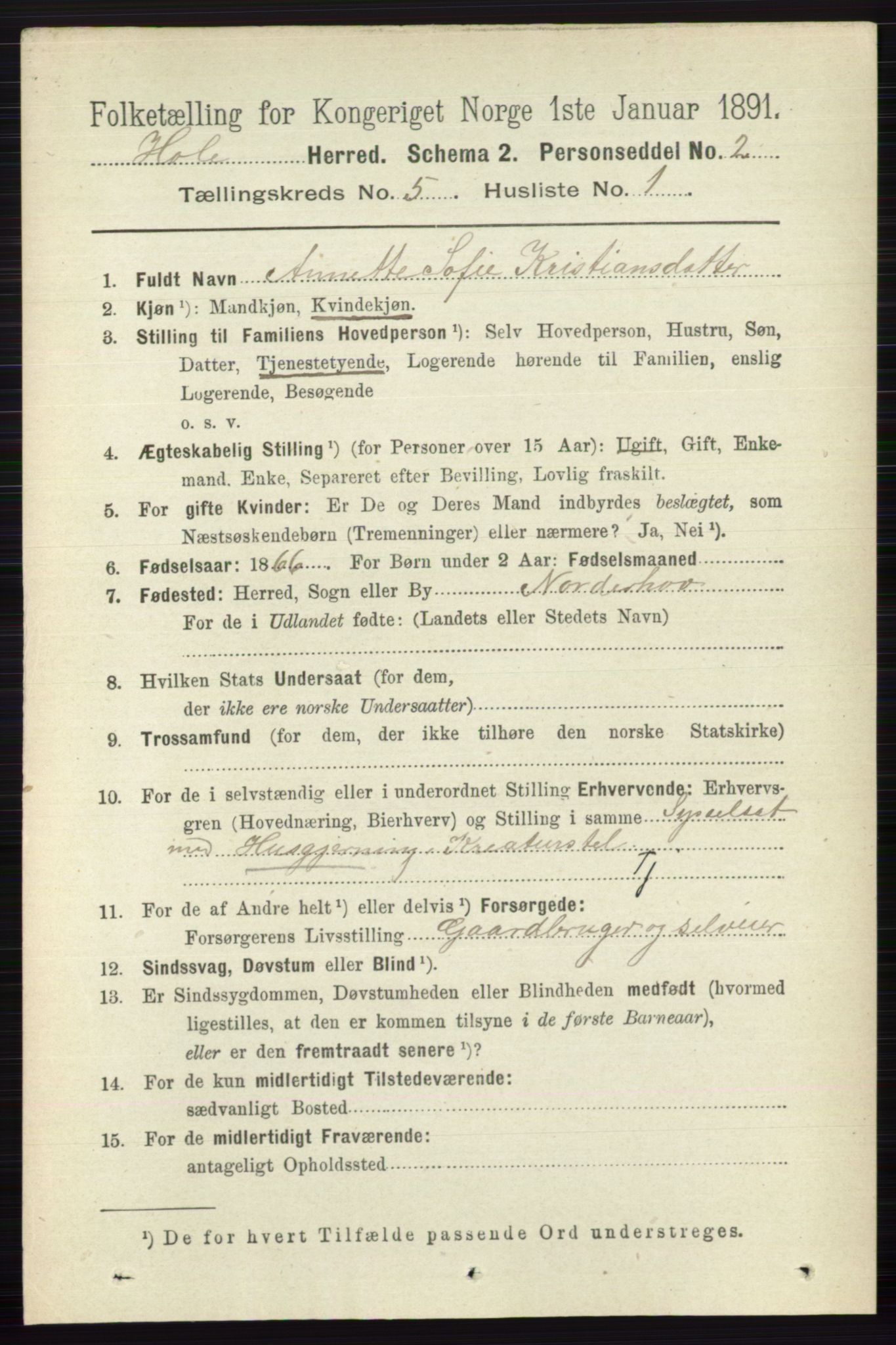 RA, Folketelling 1891 for 0612 Hole herred, 1891, s. 2536