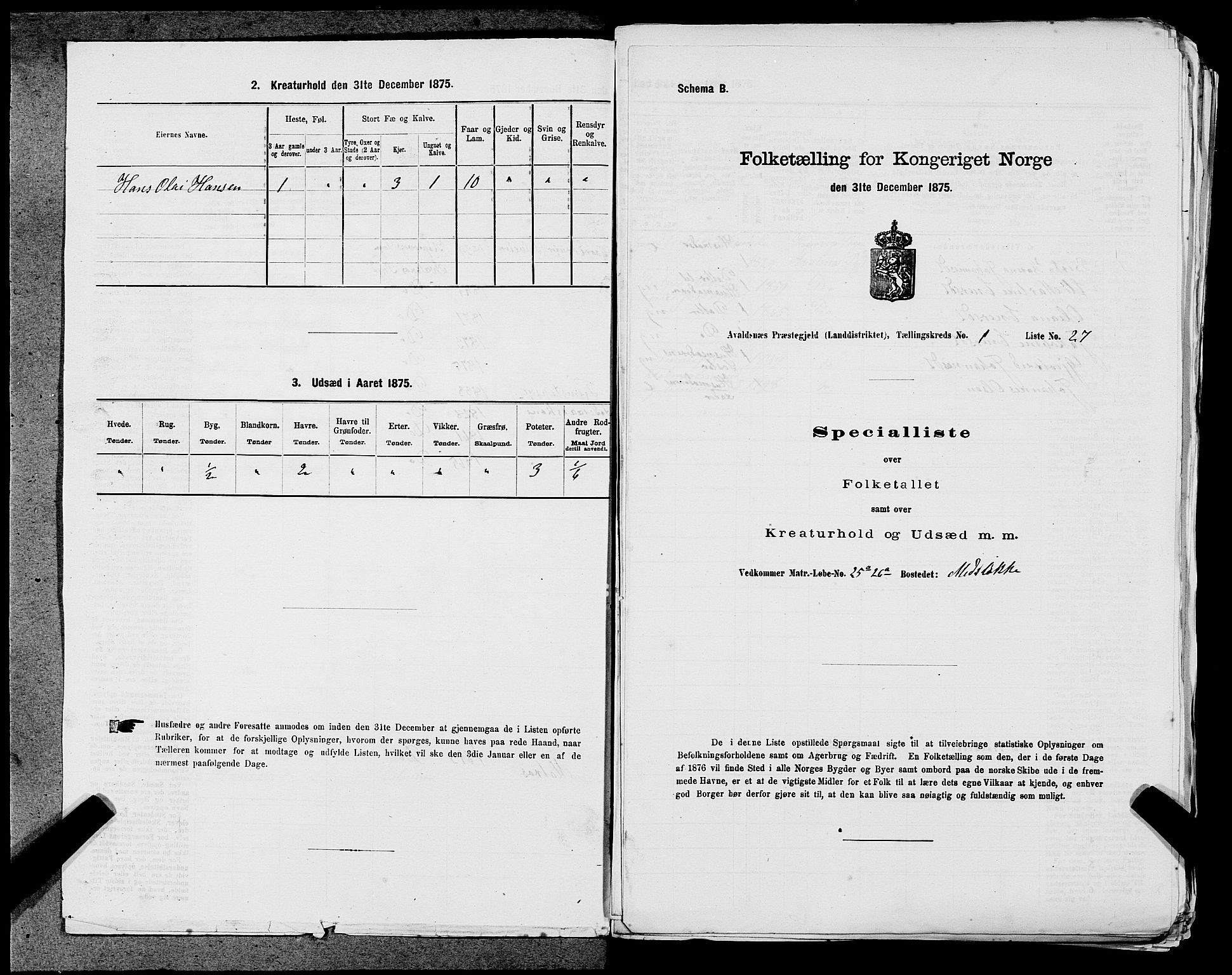 SAST, Folketelling 1875 for 1147L Avaldsnes prestegjeld, Avaldsnes sokn og Kopervik landsokn, 1875, s. 121