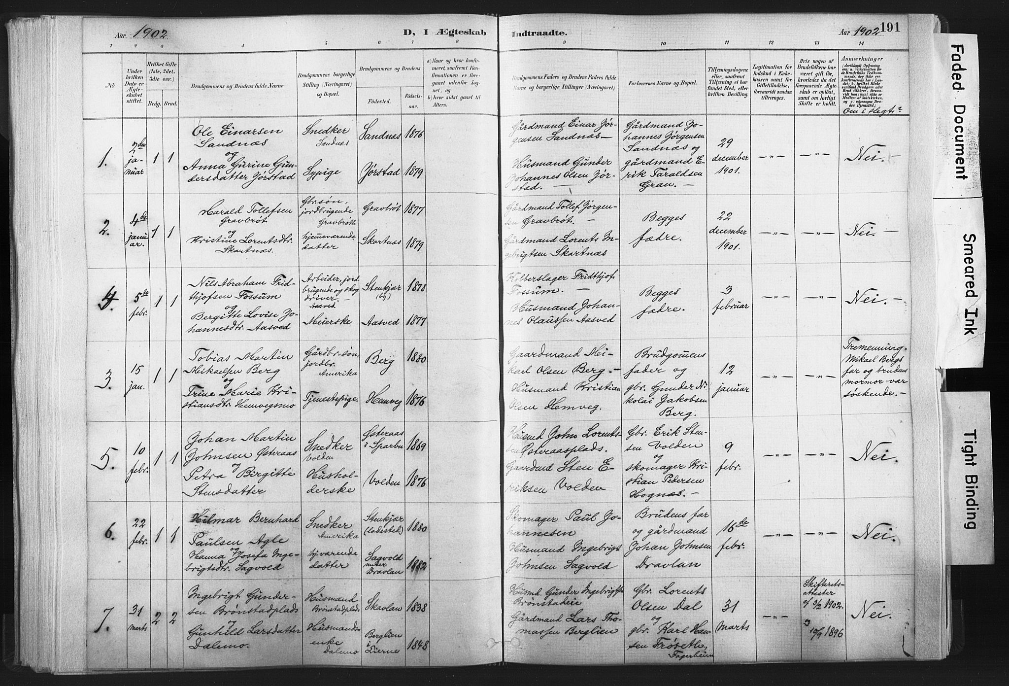 Ministerialprotokoller, klokkerbøker og fødselsregistre - Nord-Trøndelag, AV/SAT-A-1458/749/L0474: Ministerialbok nr. 749A08, 1887-1903, s. 191