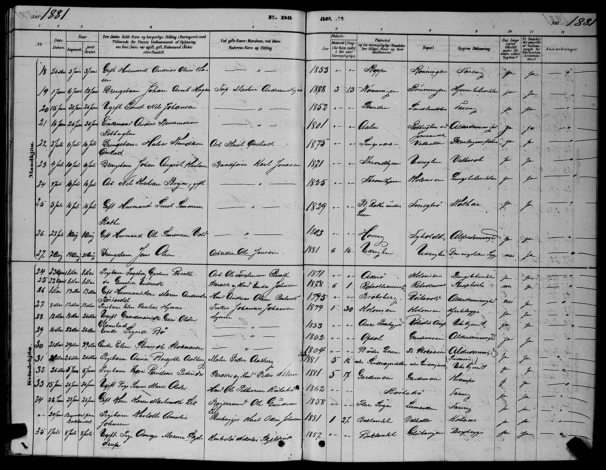 Ministerialprotokoller, klokkerbøker og fødselsregistre - Sør-Trøndelag, AV/SAT-A-1456/606/L0312: Klokkerbok nr. 606C08, 1878-1894