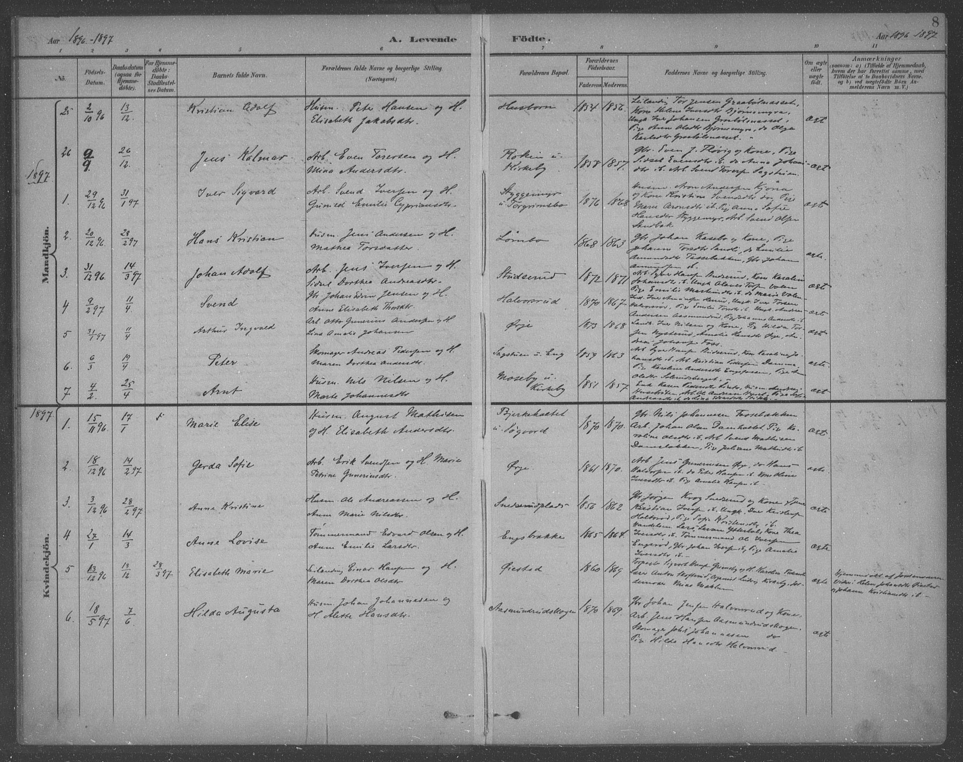 Aremark prestekontor Kirkebøker, AV/SAO-A-10899/F/Fb/L0005: Ministerialbok nr. II 5, 1895-1919, s. 8