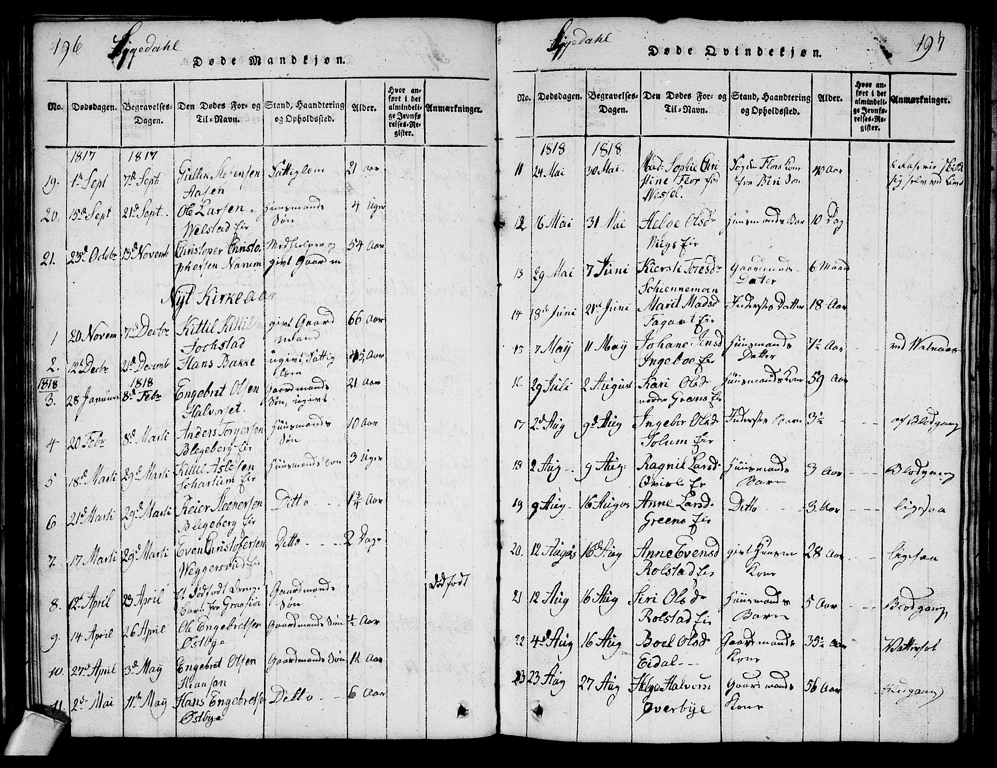Sigdal kirkebøker, AV/SAKO-A-245/G/Ga/L0001: Klokkerbok nr. I 1 /1, 1816-1835, s. 196-197
