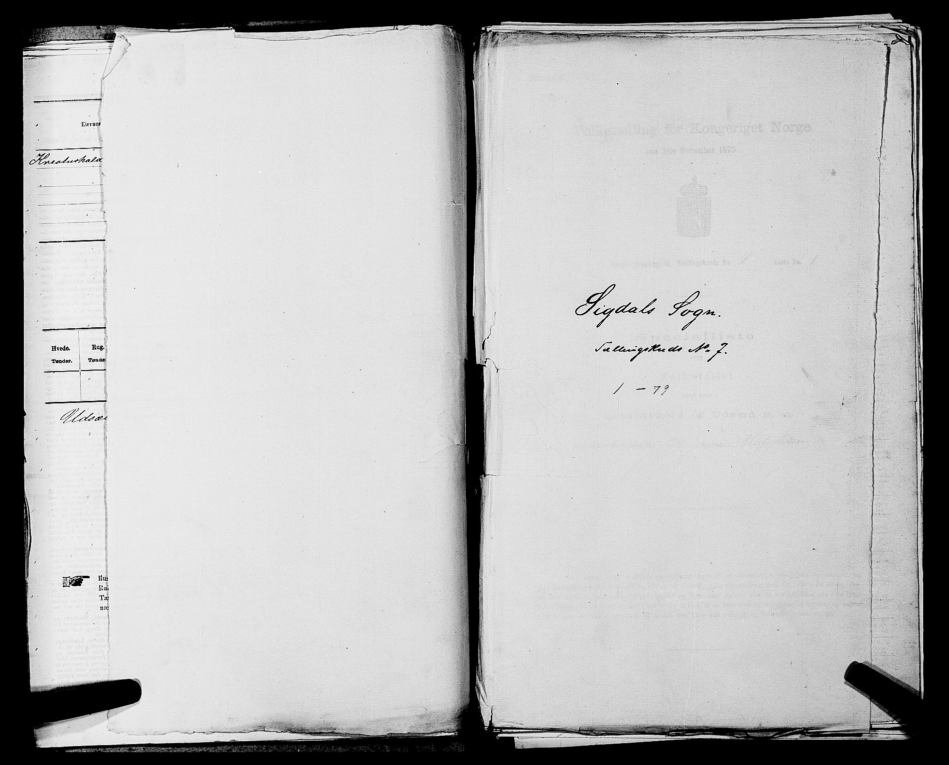 SAKO, Folketelling 1875 for 0621P Sigdal prestegjeld, 1875, s. 992