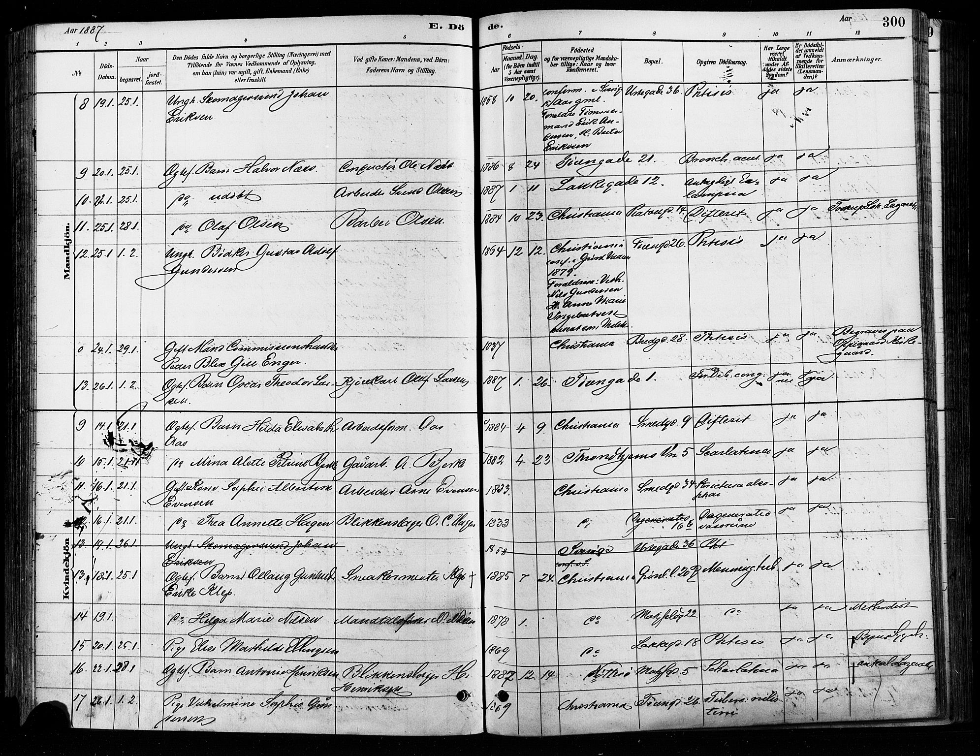 Grønland prestekontor Kirkebøker, AV/SAO-A-10848/F/Fa/L0008: Ministerialbok nr. 8, 1881-1893, s. 300