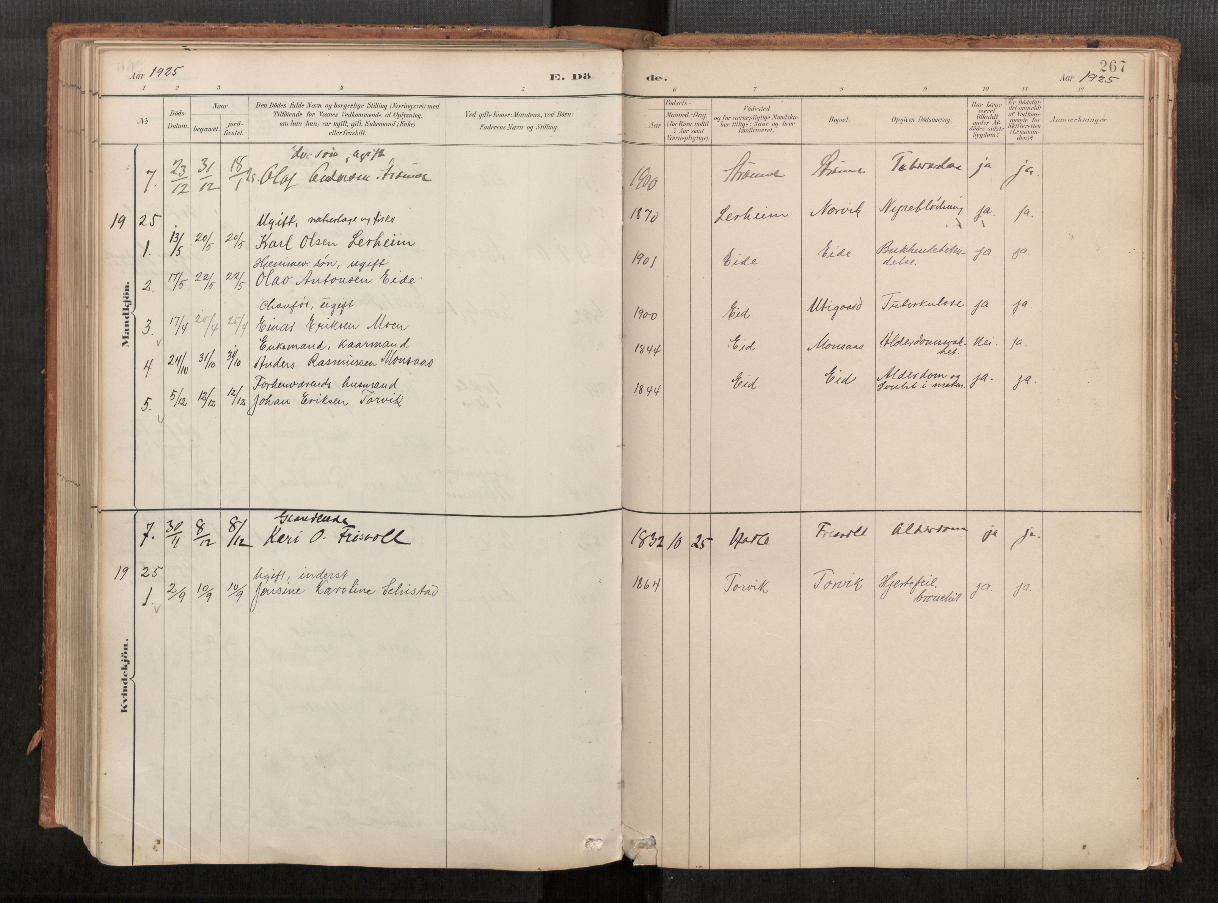 Ministerialprotokoller, klokkerbøker og fødselsregistre - Møre og Romsdal, AV/SAT-A-1454/542/L0553: Ministerialbok nr. 542A03, 1885-1925, s. 267