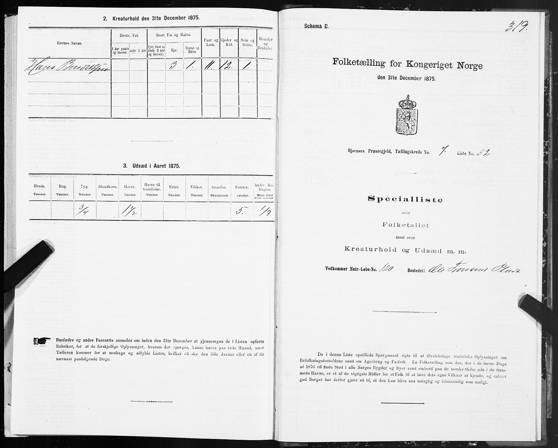 SAT, Folketelling 1875 for 1632P Bjørnør prestegjeld, 1875, s. 3319