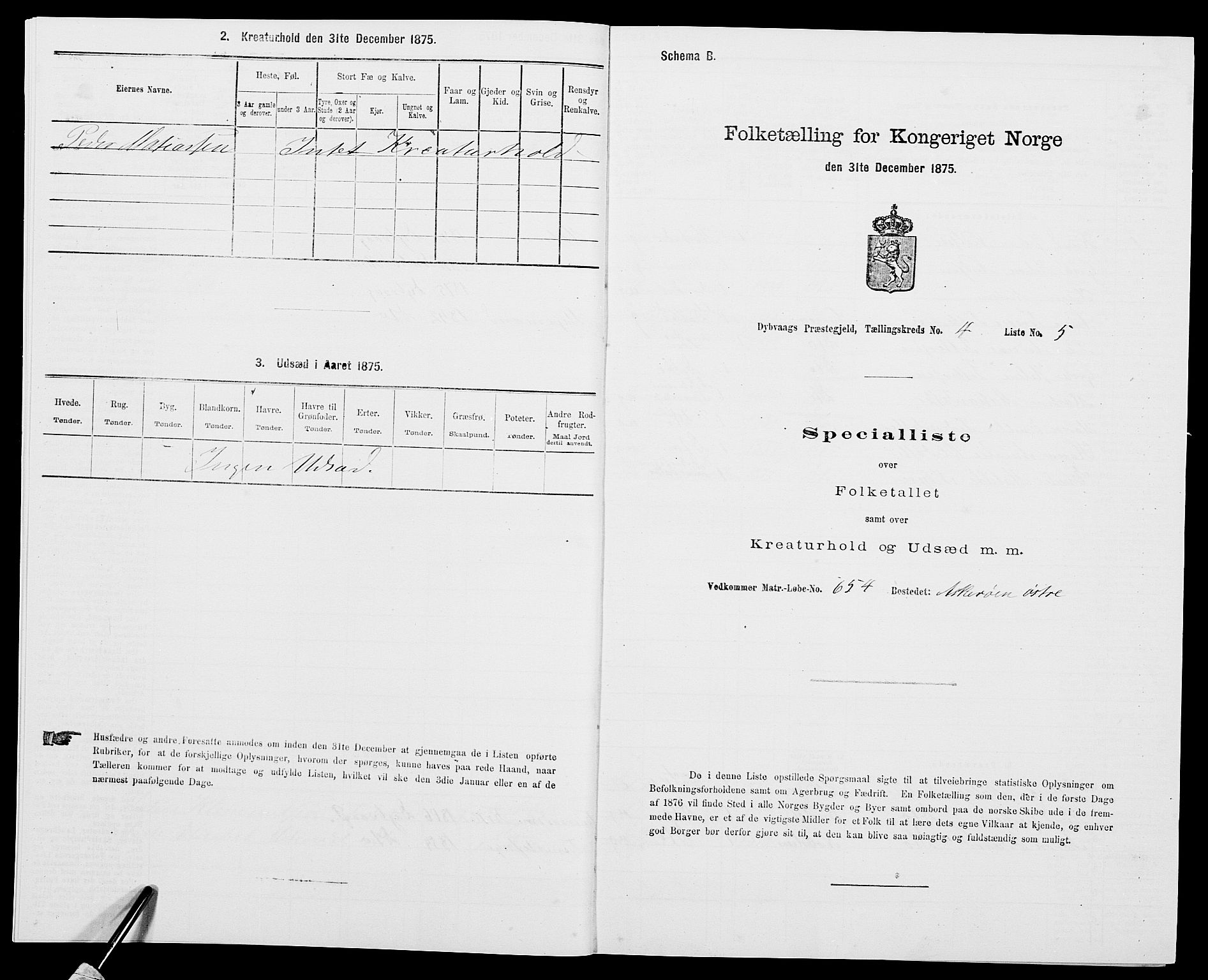 SAK, Folketelling 1875 for 0915P Dypvåg prestegjeld, 1875, s. 439